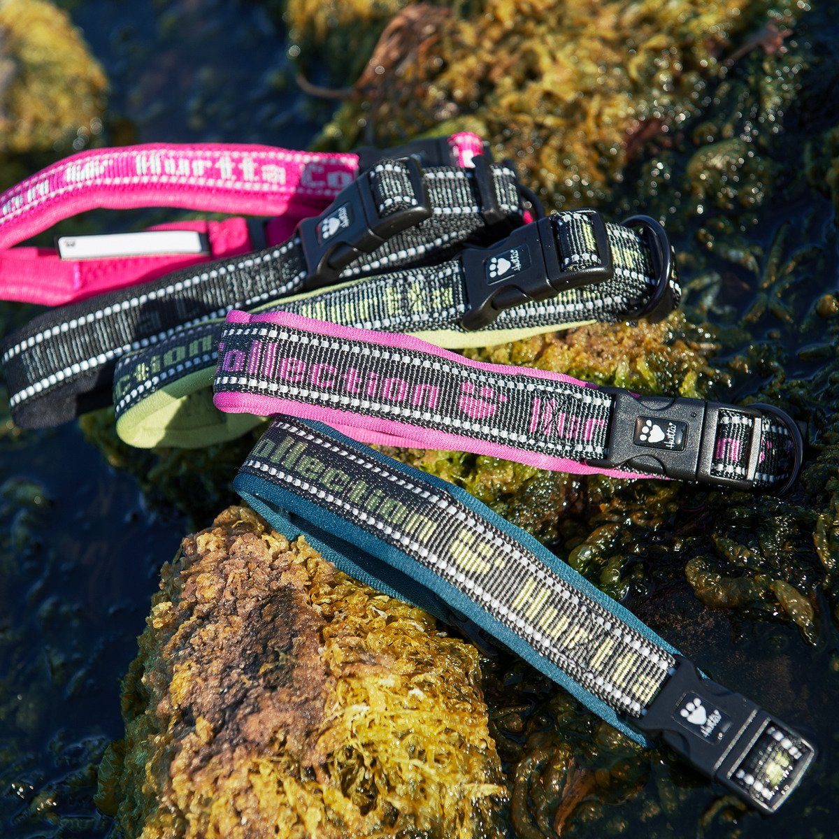HURTTA Hunde-Halsband Halsband himbeere