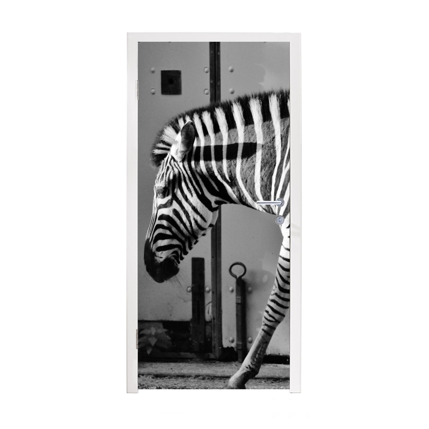 Tür, Tiere - (1 Fototapete Türaufkleber, 75x205 Schwarz MuchoWow und für Wand Tür Matt, - bedruckt, - Türtapete cm St), Zebra weiß, -