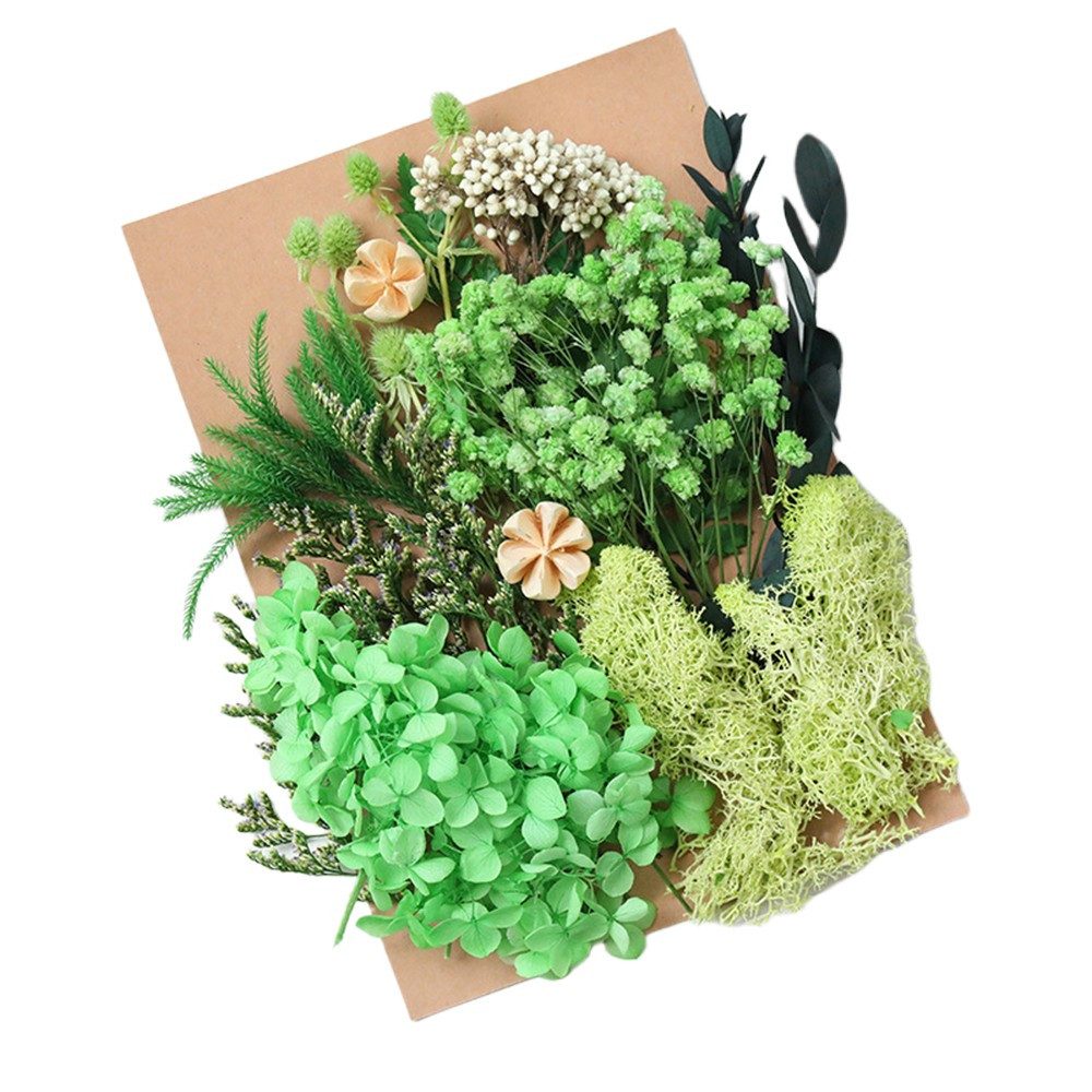 Trockenblume Pampasgras Zum Basteln Mini Trockenblumen, Minicloss, für Kunst Basteln DIY Harz Scrapbooking Heimdekoration