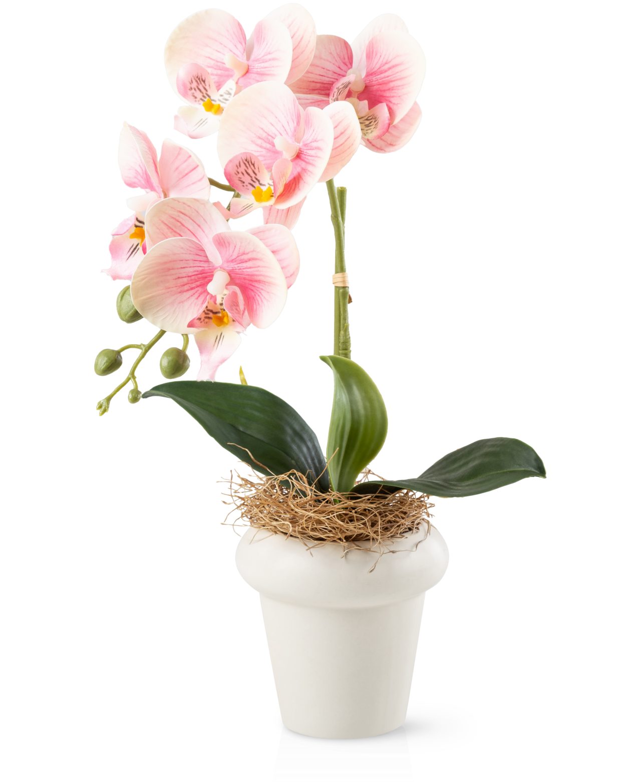 Kunstblume Kunstblumen im Topf, Künstliche Blumen wie echt, Deko Blumen Geranie, Kamelie, Orchidee, Azalee, Veilchen, PASCH, Hochwertiger Keramiktopf