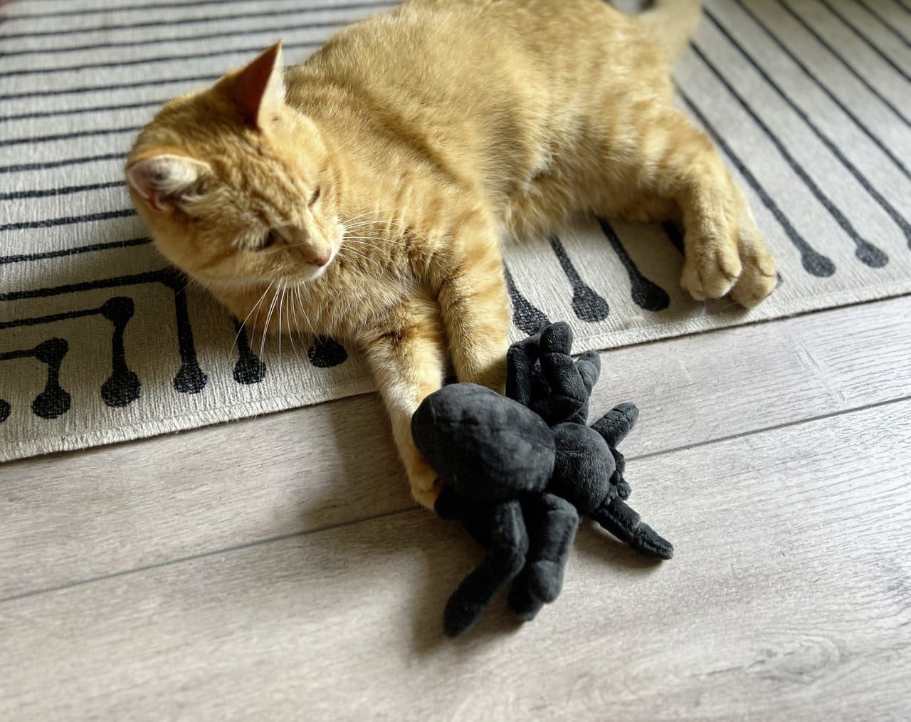 Aumüller Tierkuscheltier Aumüller Katzenspielzeug Tarantel Spooky schwarz, Sand