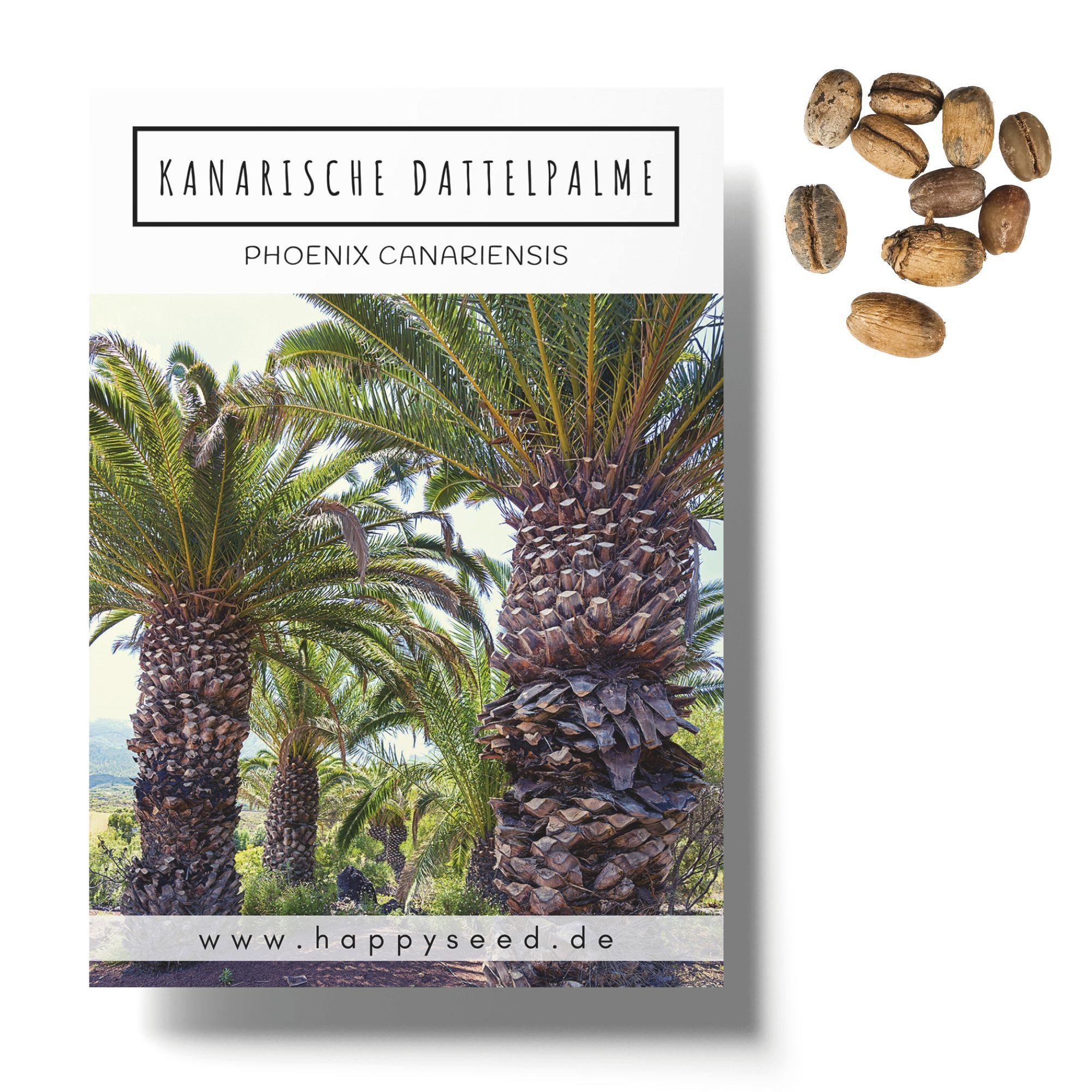 HappySeed Blumensamen Kanarische Dattelpalme Samen - Phoenix canariensis, Blumen