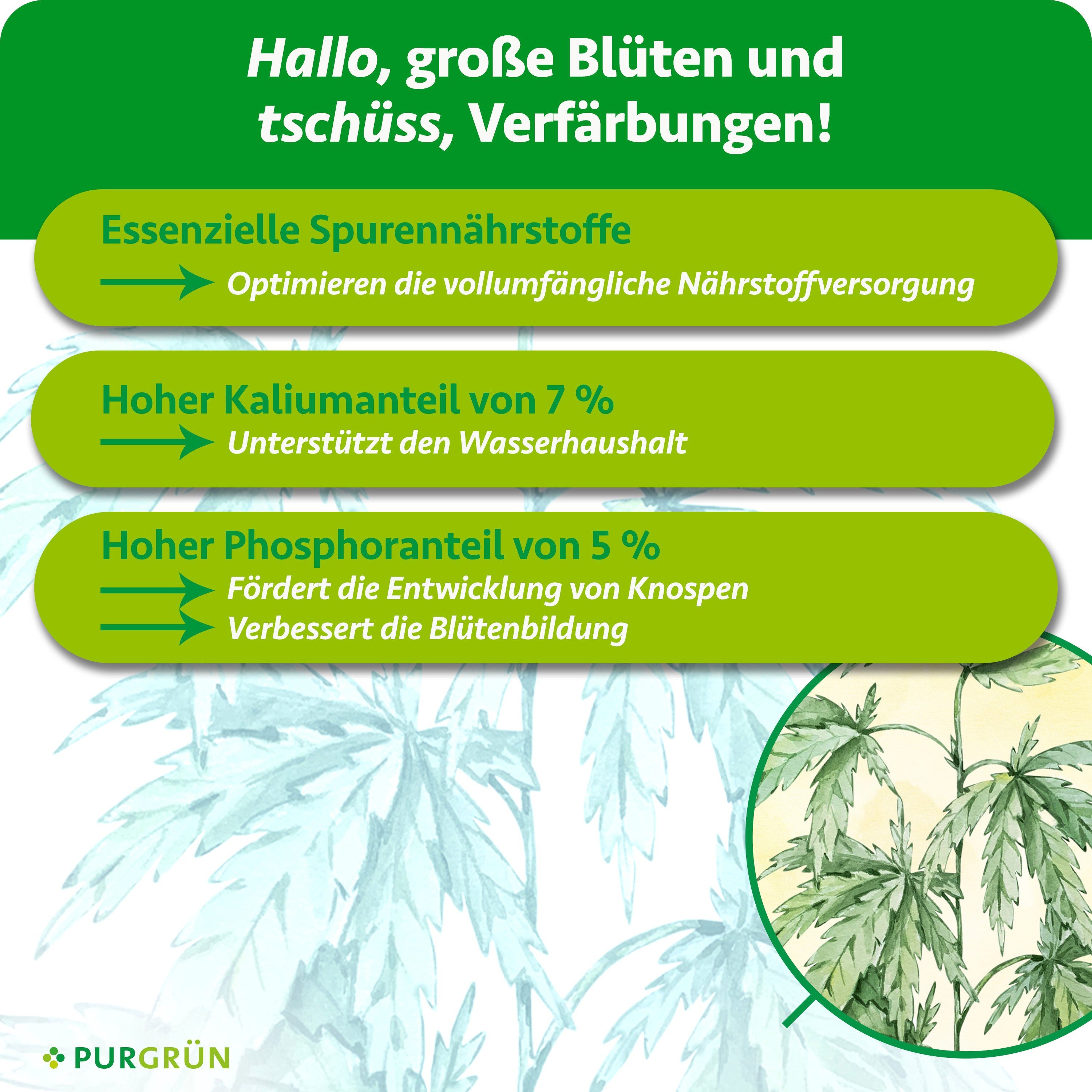 Purgrün Pflanzendünger Hybrid Bloom Dünger, NPK 3+5+7, Indoor & Outdoor, 1 Liter, Flüssigdünger, 1-St., 1 Liter