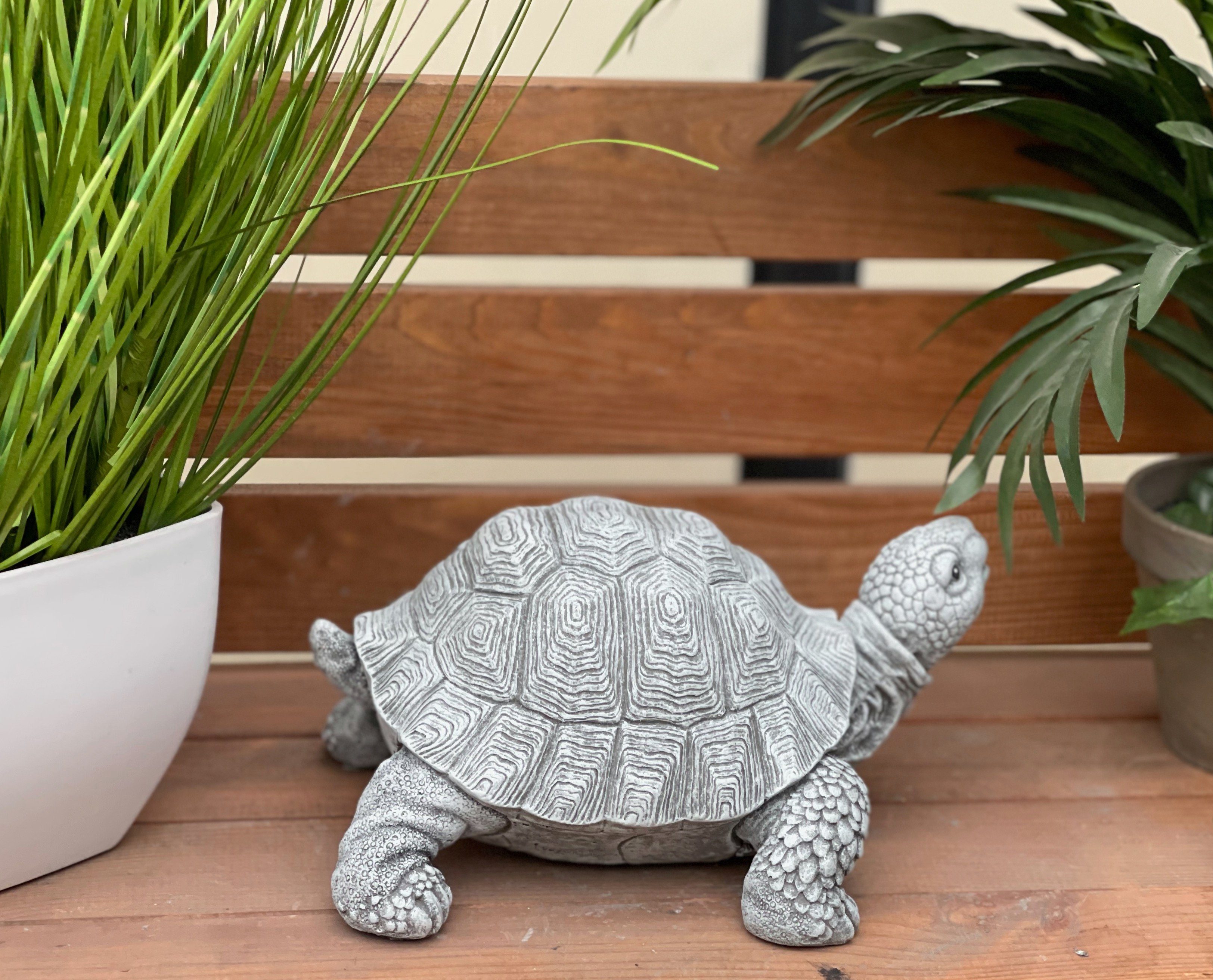 Stone and Style Gartenfigur Frostfeste Steinfigur Schildkröte Tortie – Bild 4 von 5