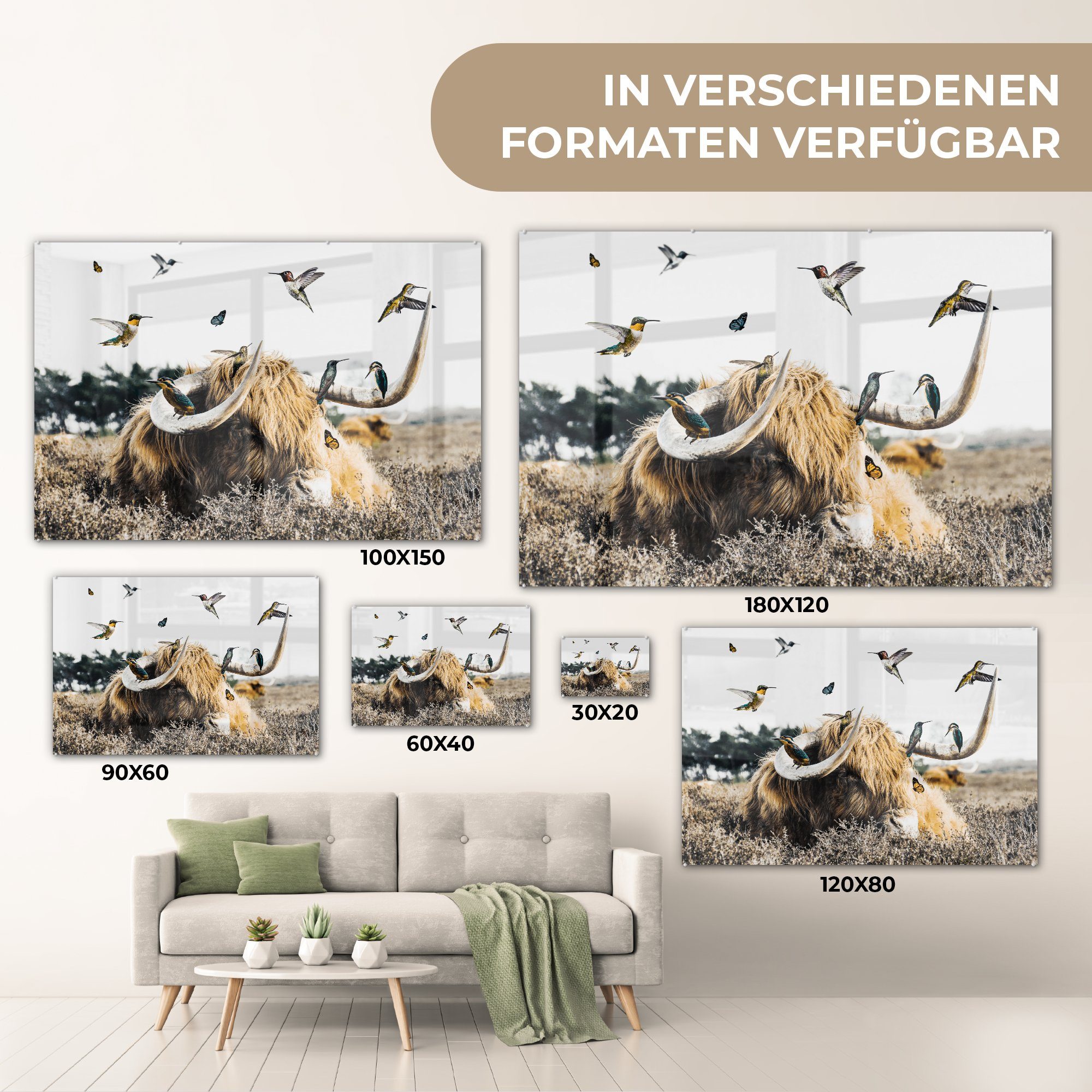 Schlafzimmer & Highlander Acrylglasbild Vogel (1 - Wohnzimmer St), - Acrylglasbilder Heidekraut, Schottischer MuchoWow