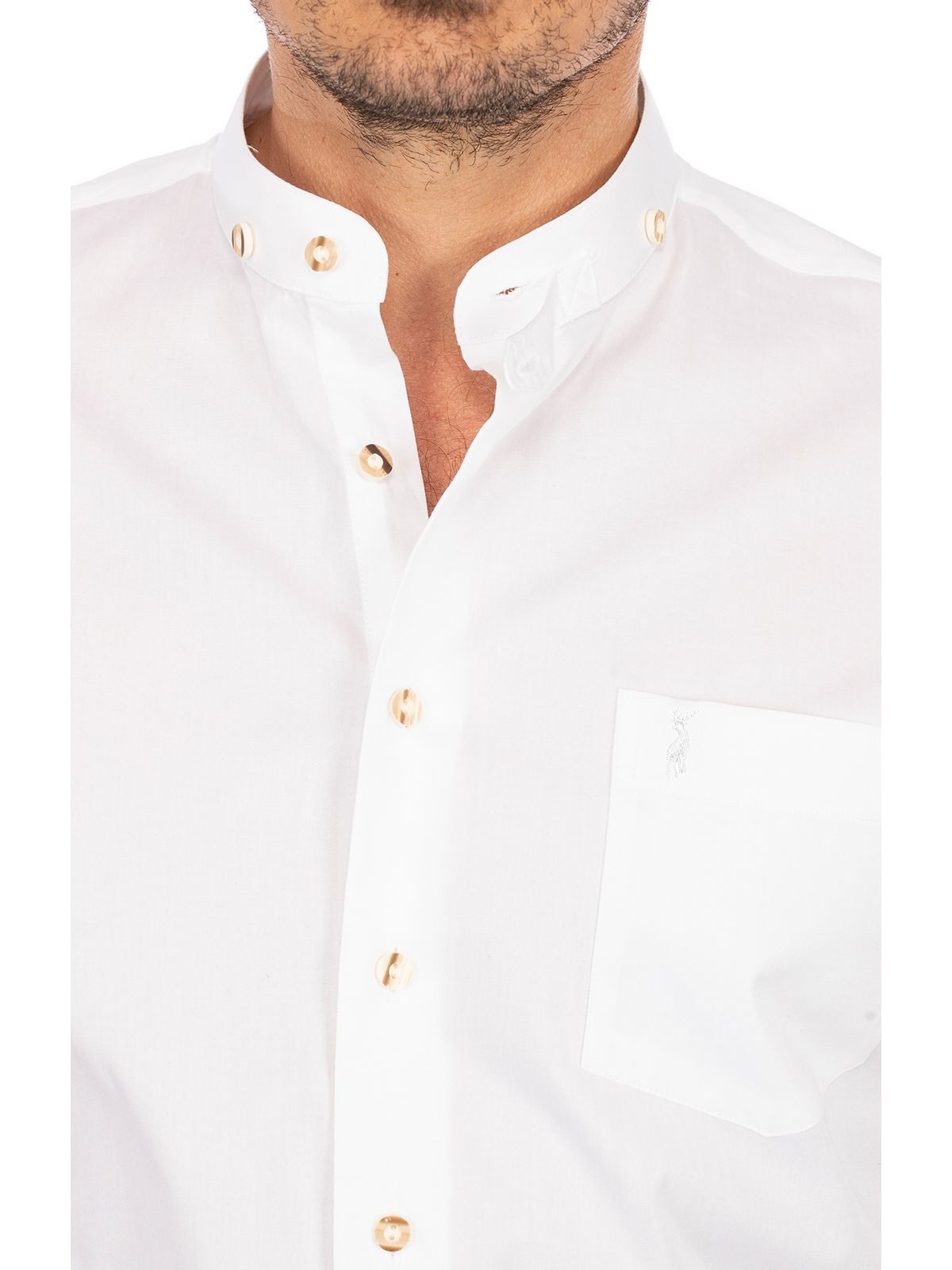 Almsach Trachtenhemd LF133 günstig online kaufen