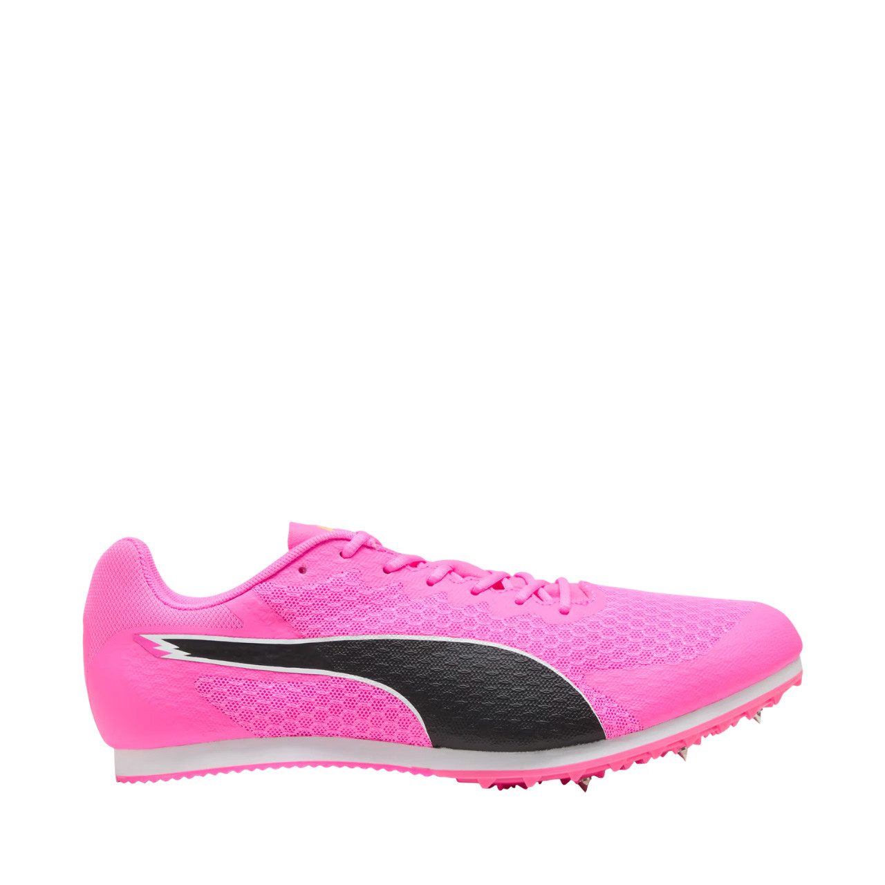 PUMA Puma Evo Speed Spike Schuh