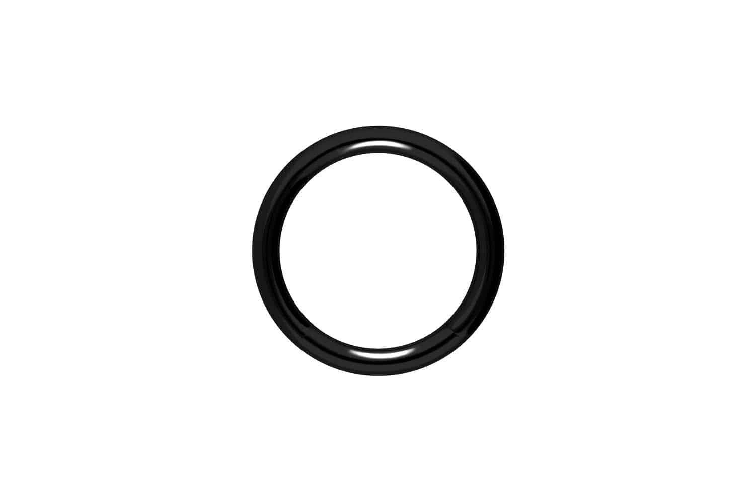 PIERCINGLINE Nasenpiercing Chirurgenstahl Segmentring (Klemm-Ringe, 1-tlg) günstig online kaufen