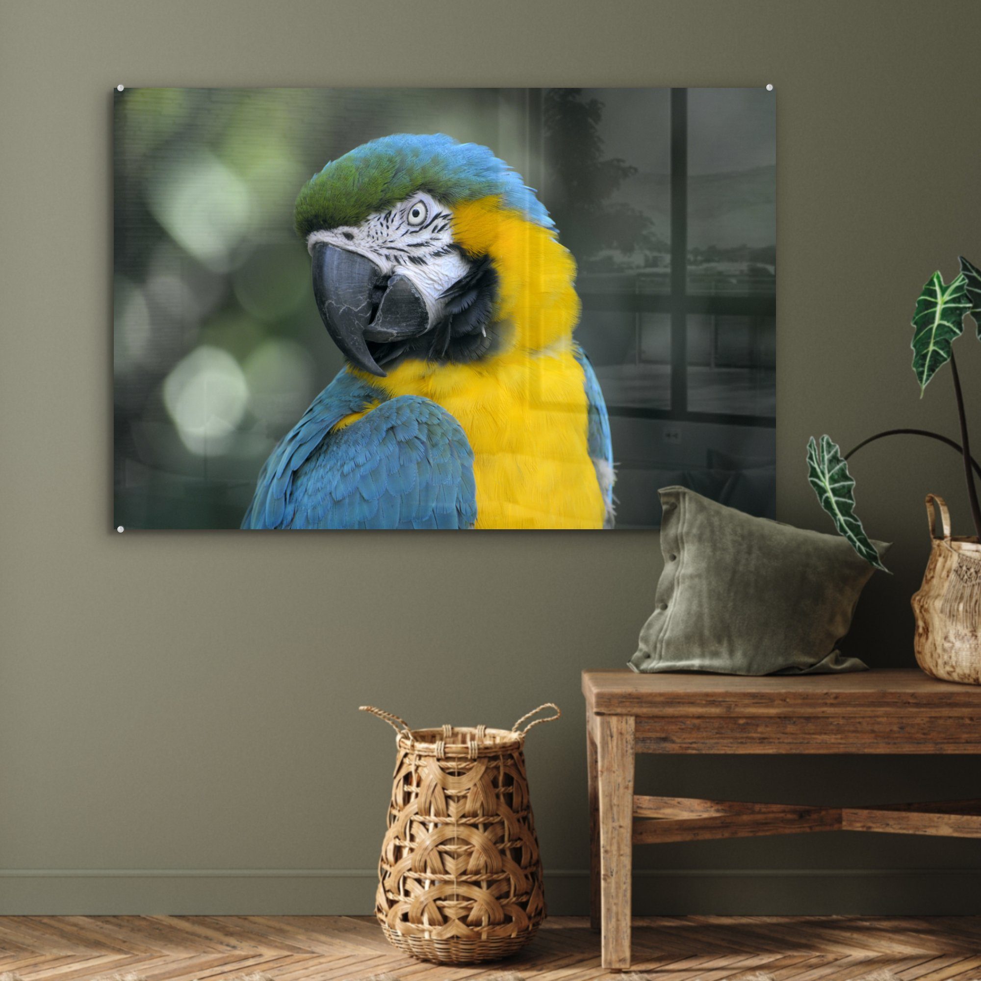Acrylglasbild - Vogel Acrylglasbilder St), (1 Wohnzimmer & - Papagei MuchoWow Schlafzimmer Blau,