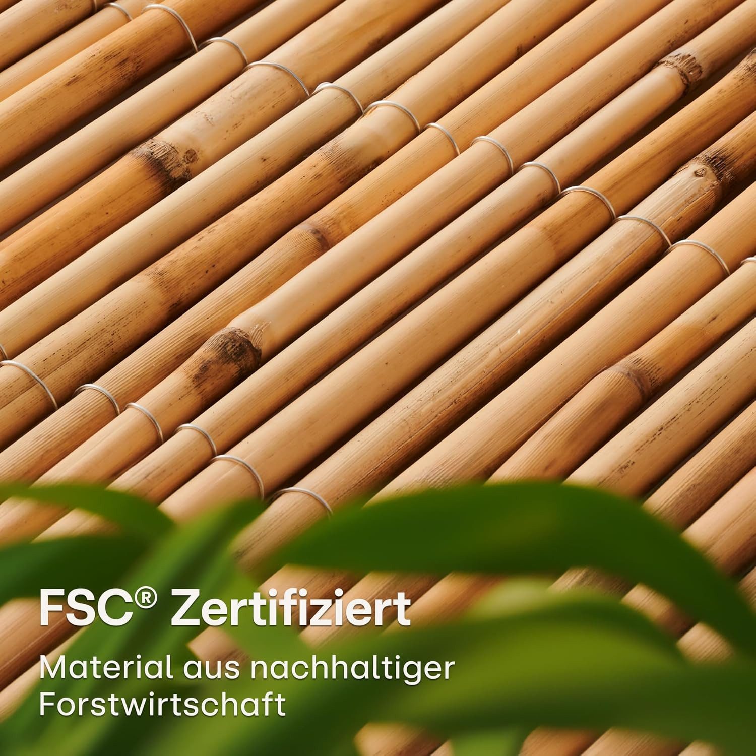 Praknu Balkonsichtschutz Schilf Balkon Sichtschutz - FSC® Zertifiziertes, Natürliches Schilf (Einzelartikel, Schilf Sichtschutz 300x100cm FSC-zertifiziert wette – Bild 5 von 5