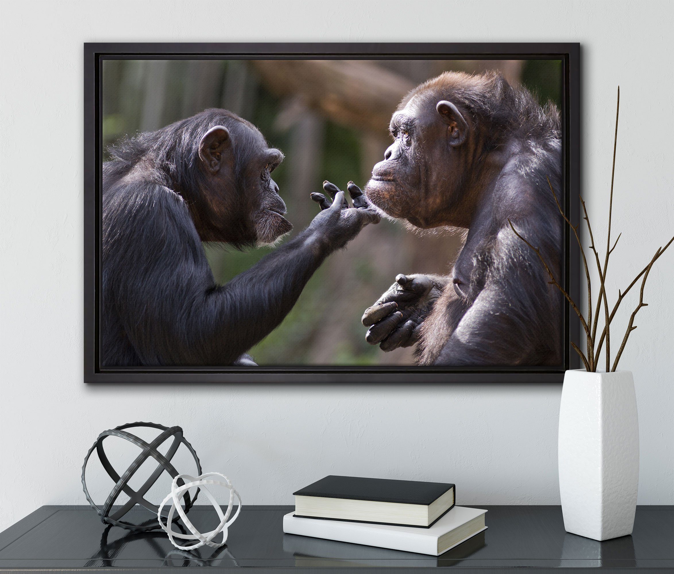 Pixxprint Leinwandbild Schimpansen Freundschaft, bespannt, fertig (1 Zackenaufhänger Wanddekoration inkl. gefasst, Schattenfugen-Bilderrahmen einem Leinwandbild St), in