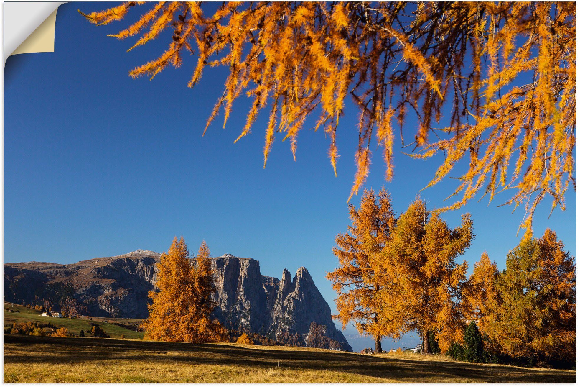 Artland Wandbild Goldener & versch. Wandaufkleber auf Seiser Herbst in Alm, Baumbilder (1 als Alubild, der St), Poster Leinwandbild, Größen Wiesen oder