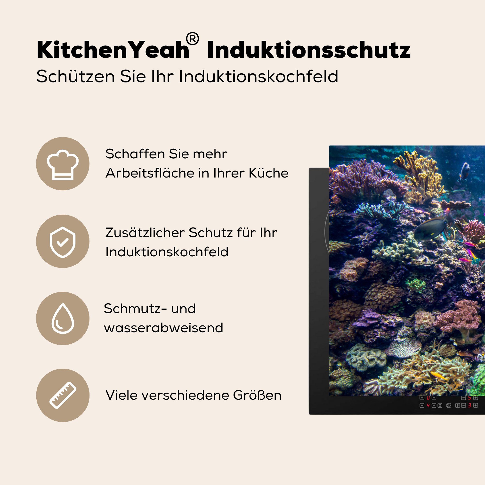 MuchoWow Herdblende-/Abdeckplatte Bunte Fische schwimmen tlg), cm, küche, die all Schutz den für Vinyl, zwischen Induktionskochfeld (1 Korallen, 81x52 Ceranfeldabdeckung