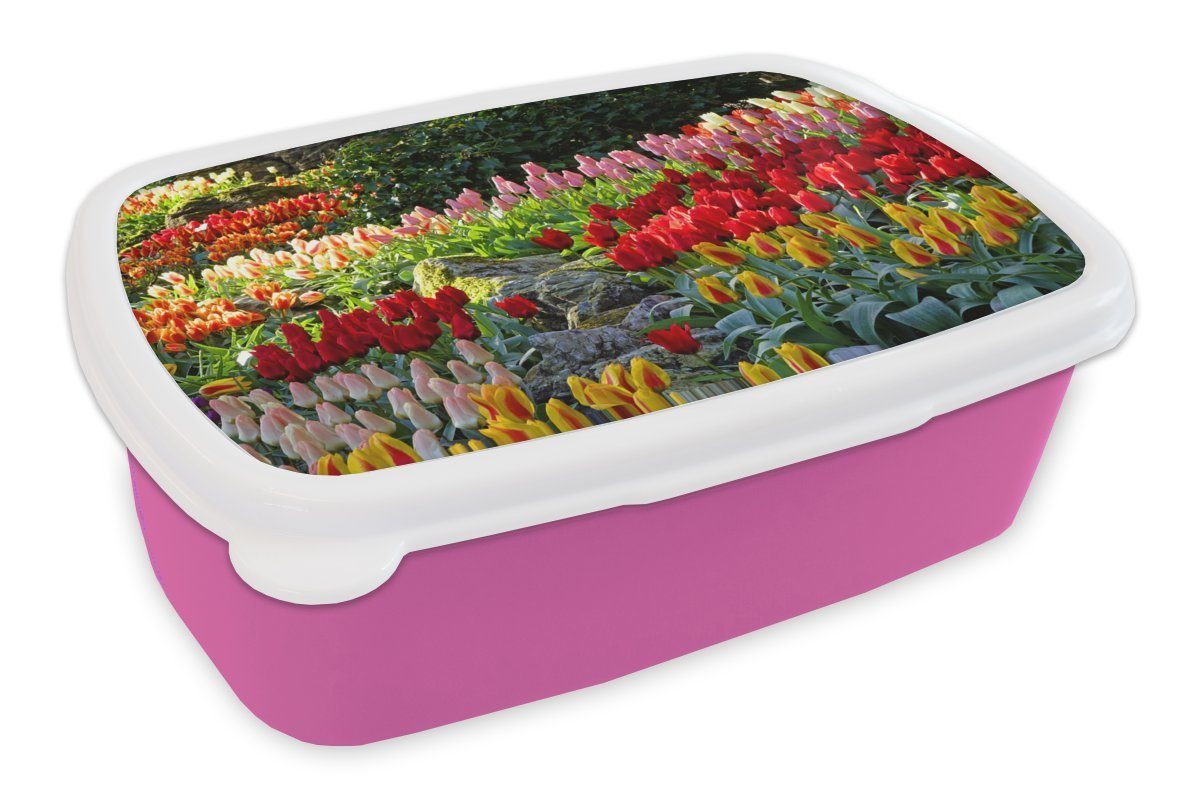 MuchoWow Lunchbox Bunte Tulpen auf dem Keukenhof in den Niederlanden, Kunststoff, (2-tlg), Brotbox für Erwachsene, Brotdose Kinder, Snackbox, Mädchen, Kunststoff rosa