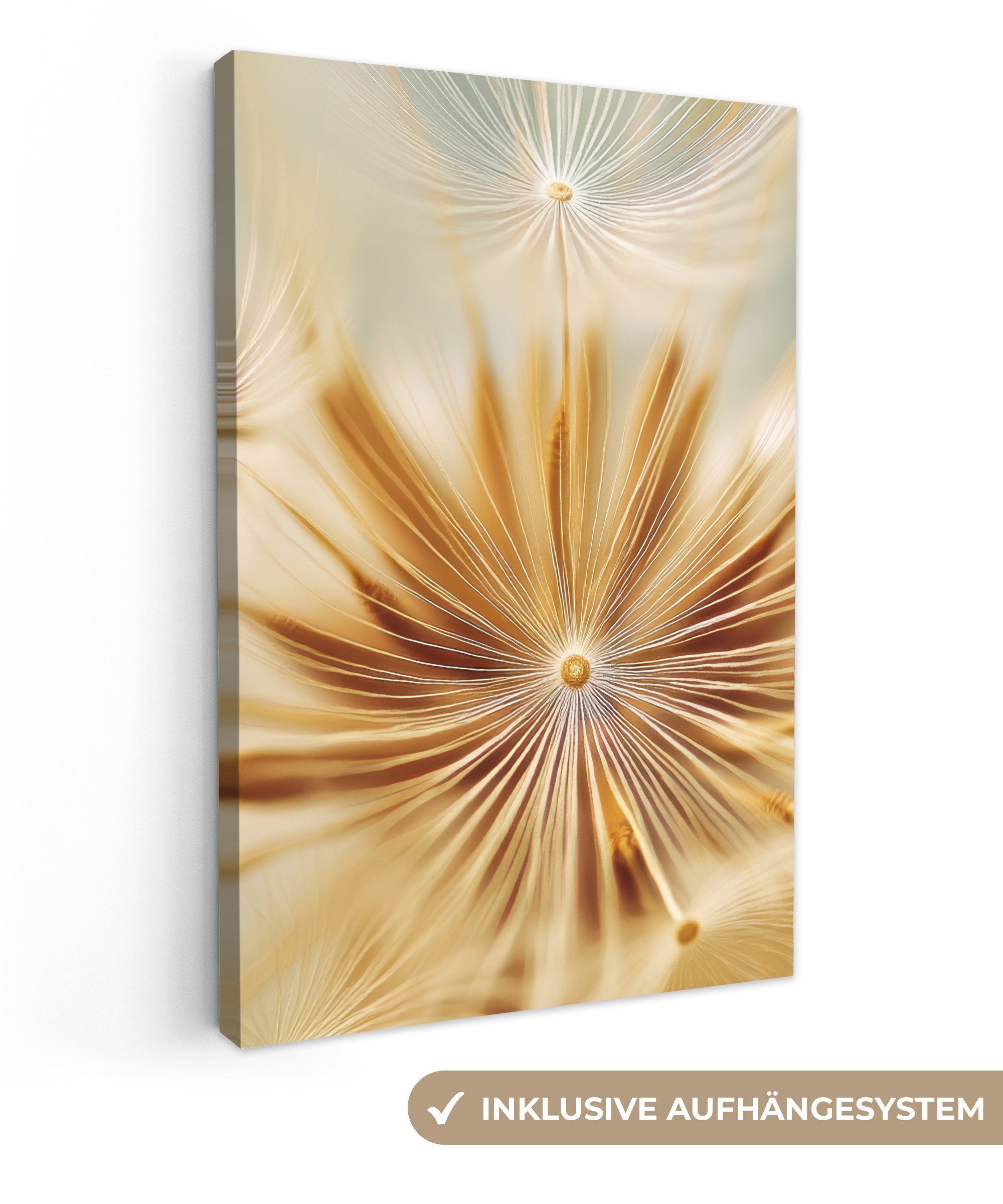 Leinwandbild Löwenzahn - Beige - Abstrakt - Modern - Natur