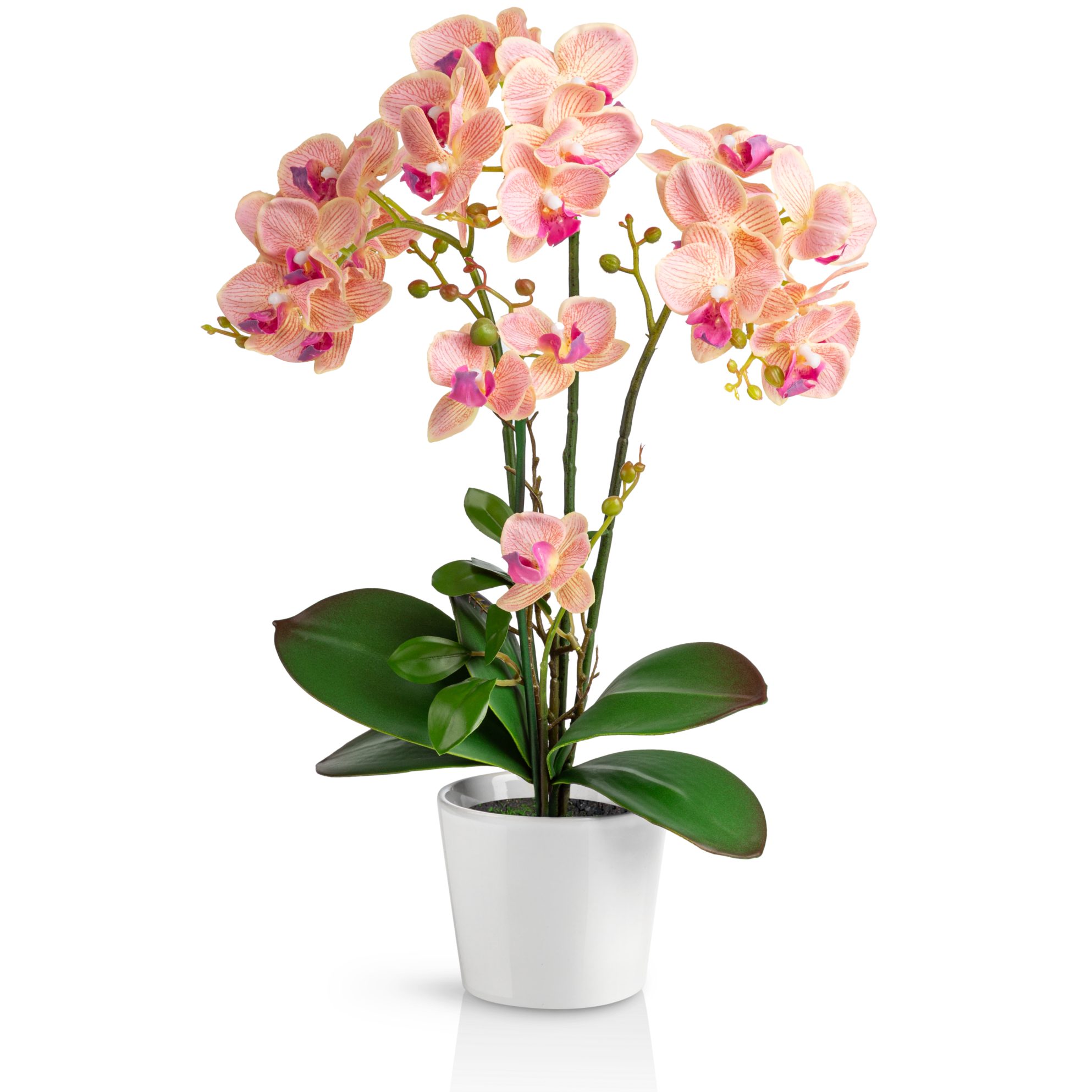 Kunstorchidee PASCH® Orchidee künstlich wie echt (46cm) in Hochglanz-Keramiktopf Orchidee, PASCH, Real Touch