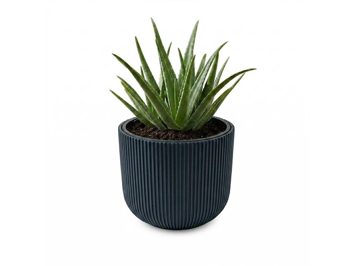 Prosperplast Blumentopf Milly, inkl. Pflanzeinsatz, 29,8 x 25,7 cm