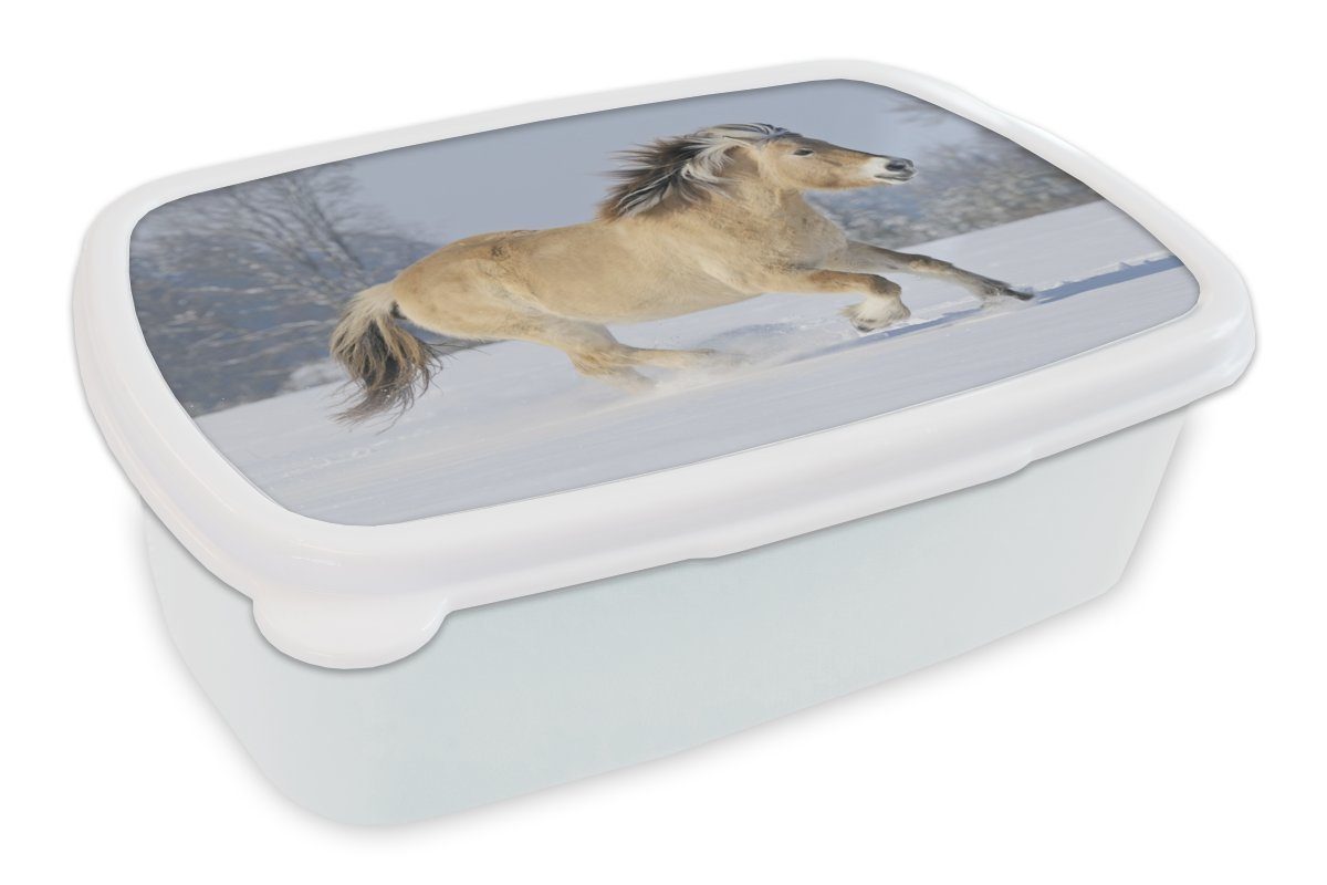 MuchoWow Lunchbox Fjordpferd läuft durch den Schnee, Kunststoff, (2-tlg), Brotbox für Kinder und Erwachsene, Brotdose, für Jungs und Mädchen weiß
