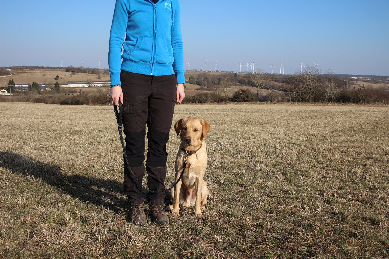 Activity4Dogs Hundeleine für große Hunde Leder, 1m, mit gepolsterter Schlaufe, verschiedene Farben, Made in Germany