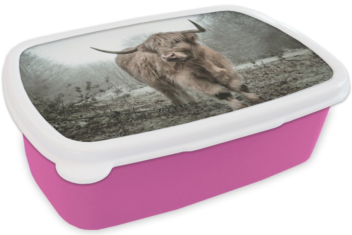 Wald, Herbst für Tiere Highlander Kunststoff - Snackbox, (2-tlg), Wildtiere Brotdose - Kinder, Brotbox - Kunststoff, Schottische Erwachsene, - MuchoWow - rosa Lunchbox Natur Mädchen,
