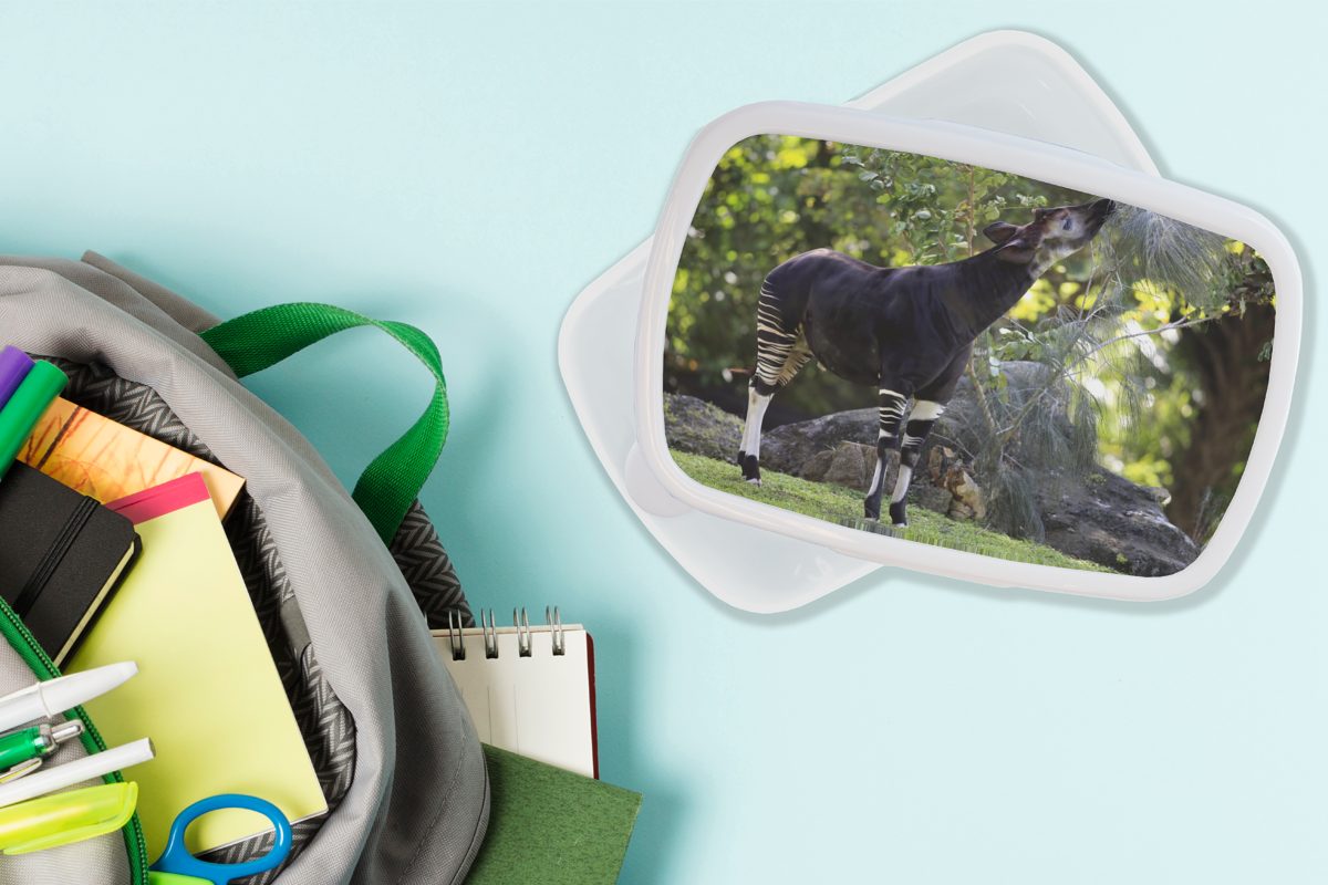 Mädchen Okapi (2-tlg), Blätter Brotbox frisst Grasland, Kinder Erwachsene, und für und weiß Kunststoff, im MuchoWow für Jungs Lunchbox Brotdose,
