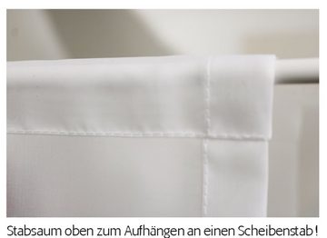 Scheibengardine Scheibenhänger spitz Margarete links, Voile Transparent, gardinen-for-life