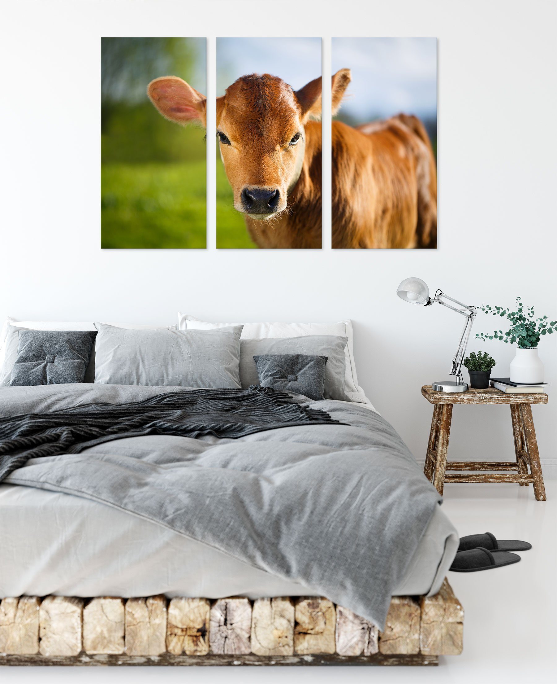 Pixxprint Leinwandbild Kuh (1 3Teiler Junge fertig Kuh bespannt, Kälbchen, Zackenaufhänger Kälbchen St), (120x80cm) Leinwandbild Junge inkl.