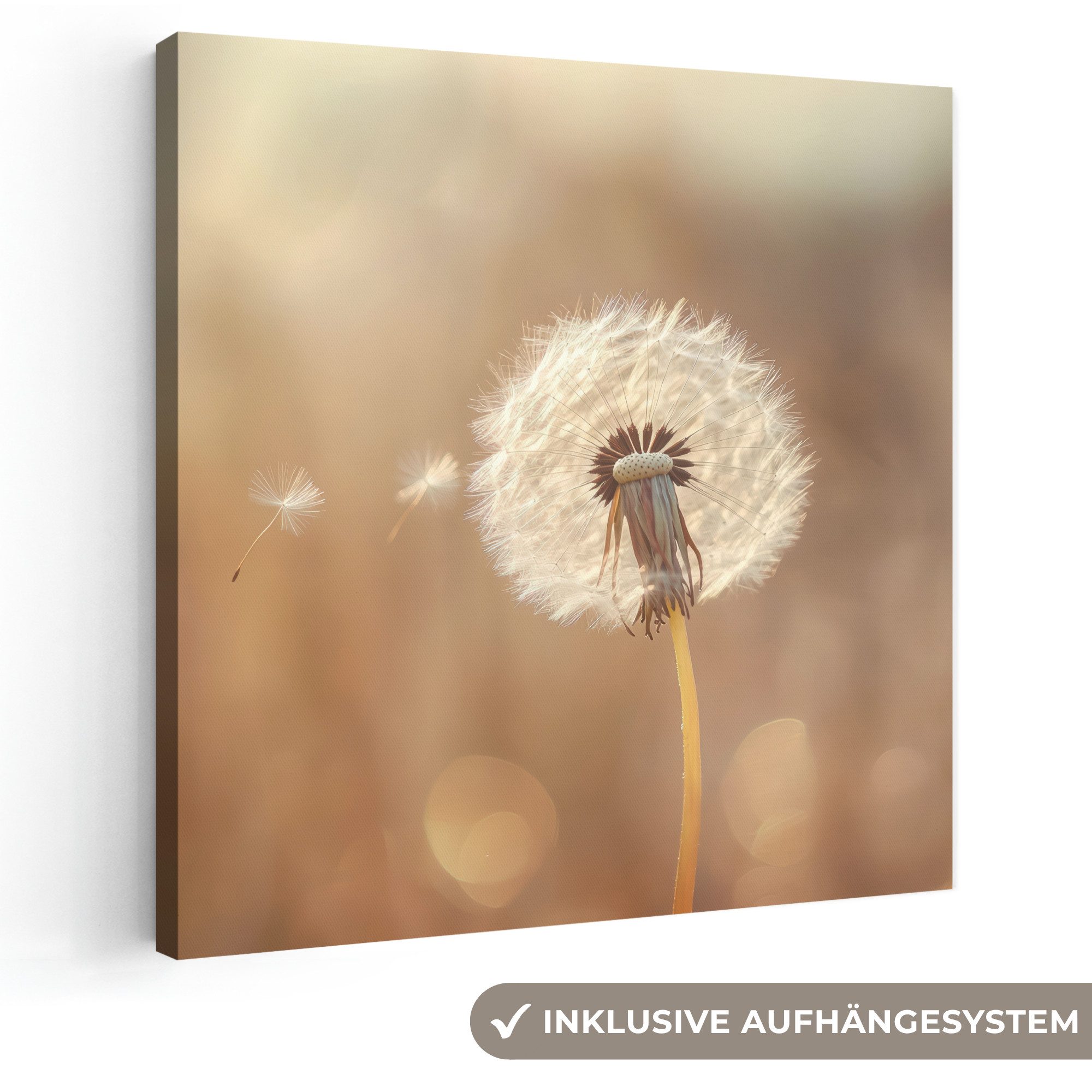 OneMillionCanvasses® Leinwandbild Löwenzahn - Beige - Natur - Blume, Fotodruck (1 St), Wandbild, Deko Schlafzimmer Wohnzimmer Flur 20x20 cm