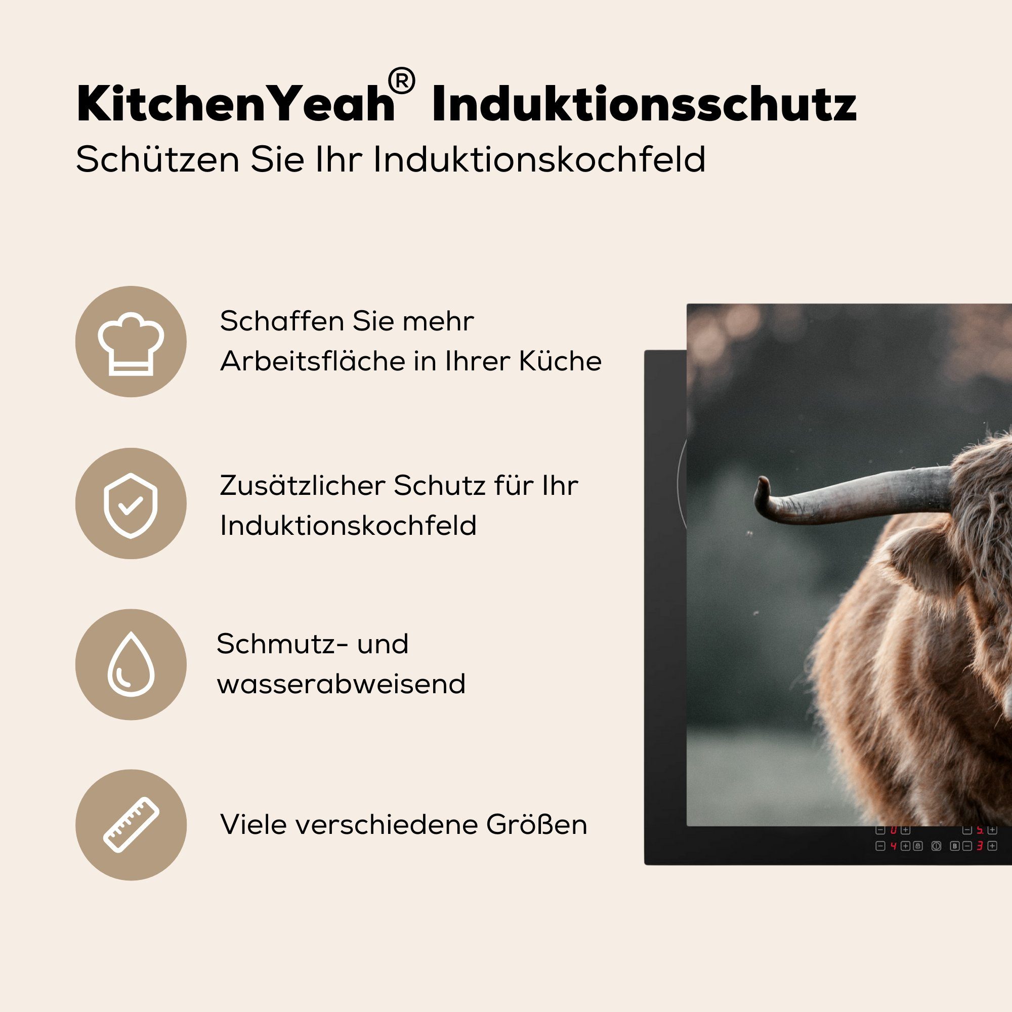 MuchoWow Herdblende-/Abdeckplatte Schottischer küche, für Hochländer Vinyl, Kuh - 71x52 Ceranfeldabdeckung tlg), die Induktionskochfeld cm, (1 - Natur, Schutz