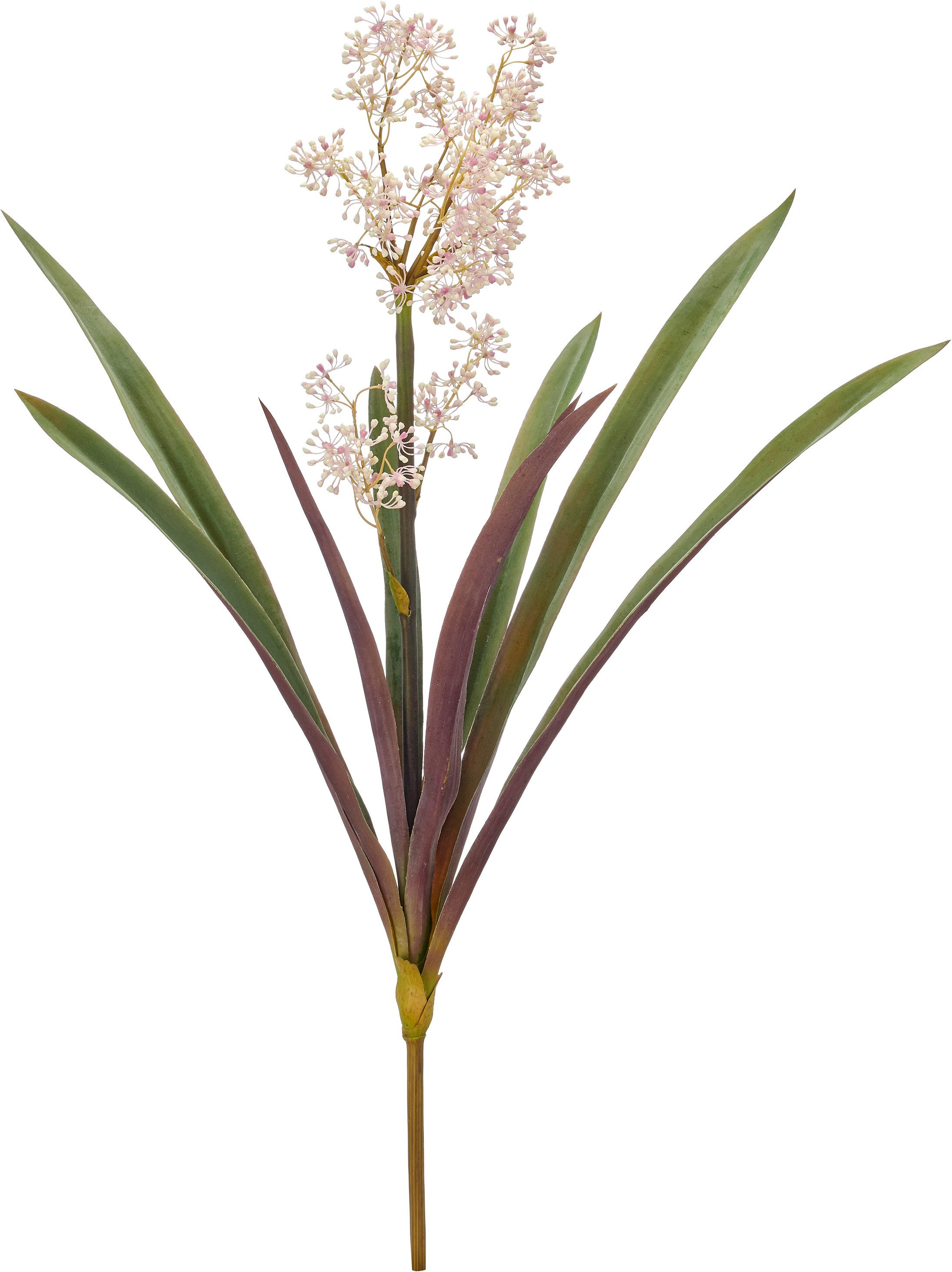 Kunstblume Allium tricoccum, Creativ green, Höhe 100 cm, in toller Größe