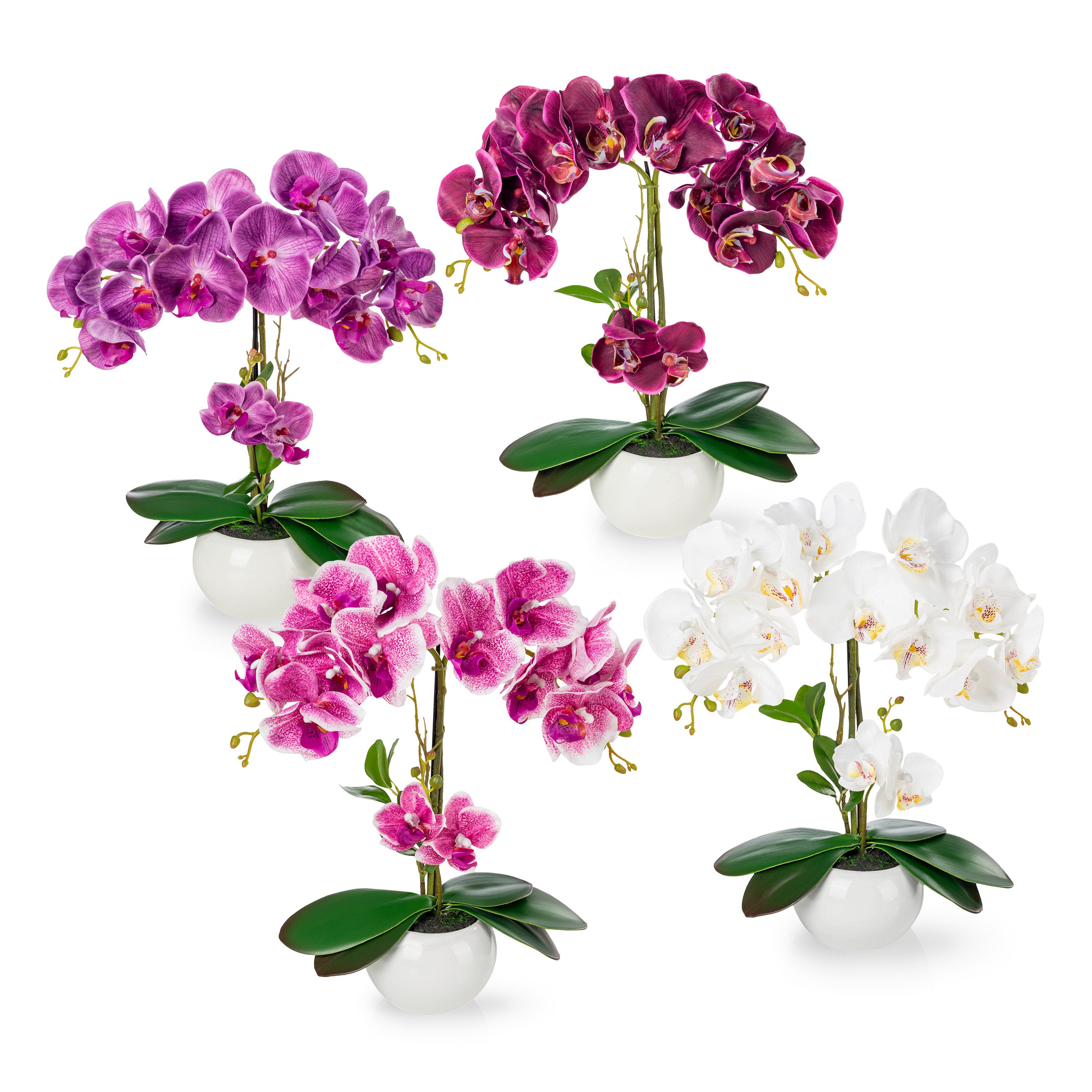 Kunstorchidee PASCH® Orchidee künstlich wie echt (40cm) in Hochglanz-Keramiktopf Orchidee, PASCH