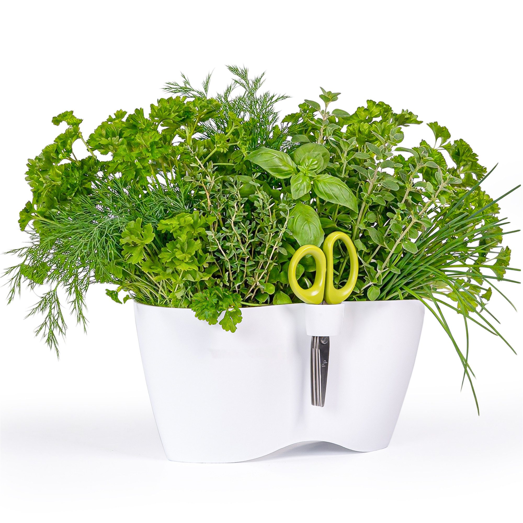 KONZEPT Kräutertopf für die Küche, 2,3 L, mit Kräuterschere & Scherenhalter, Indoor, Outdoor, Robuster Kunststoff, Universelles Design