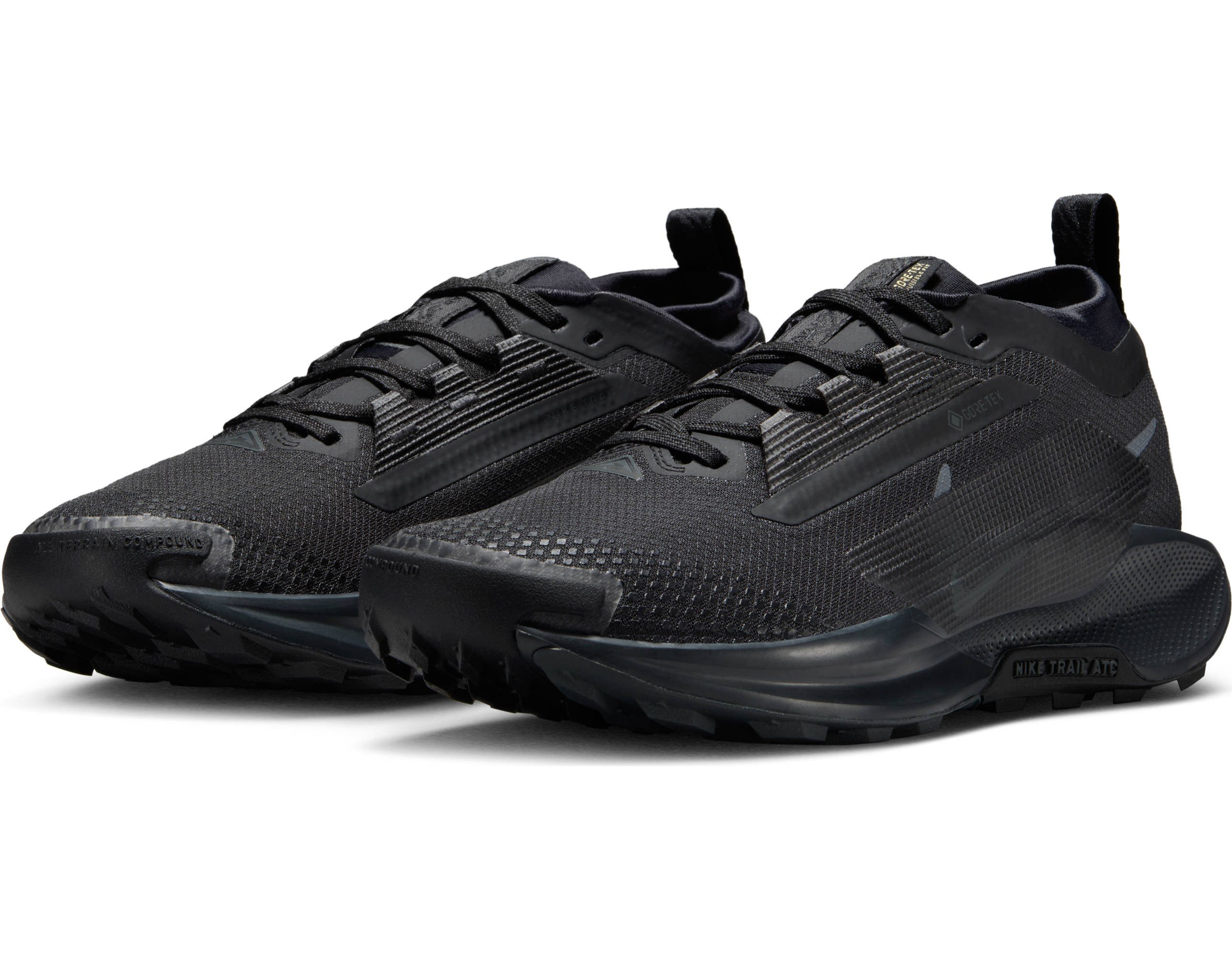 Nike Pegasus Trail 5 GORE-TEX Trailrunningschuh wasserdicht