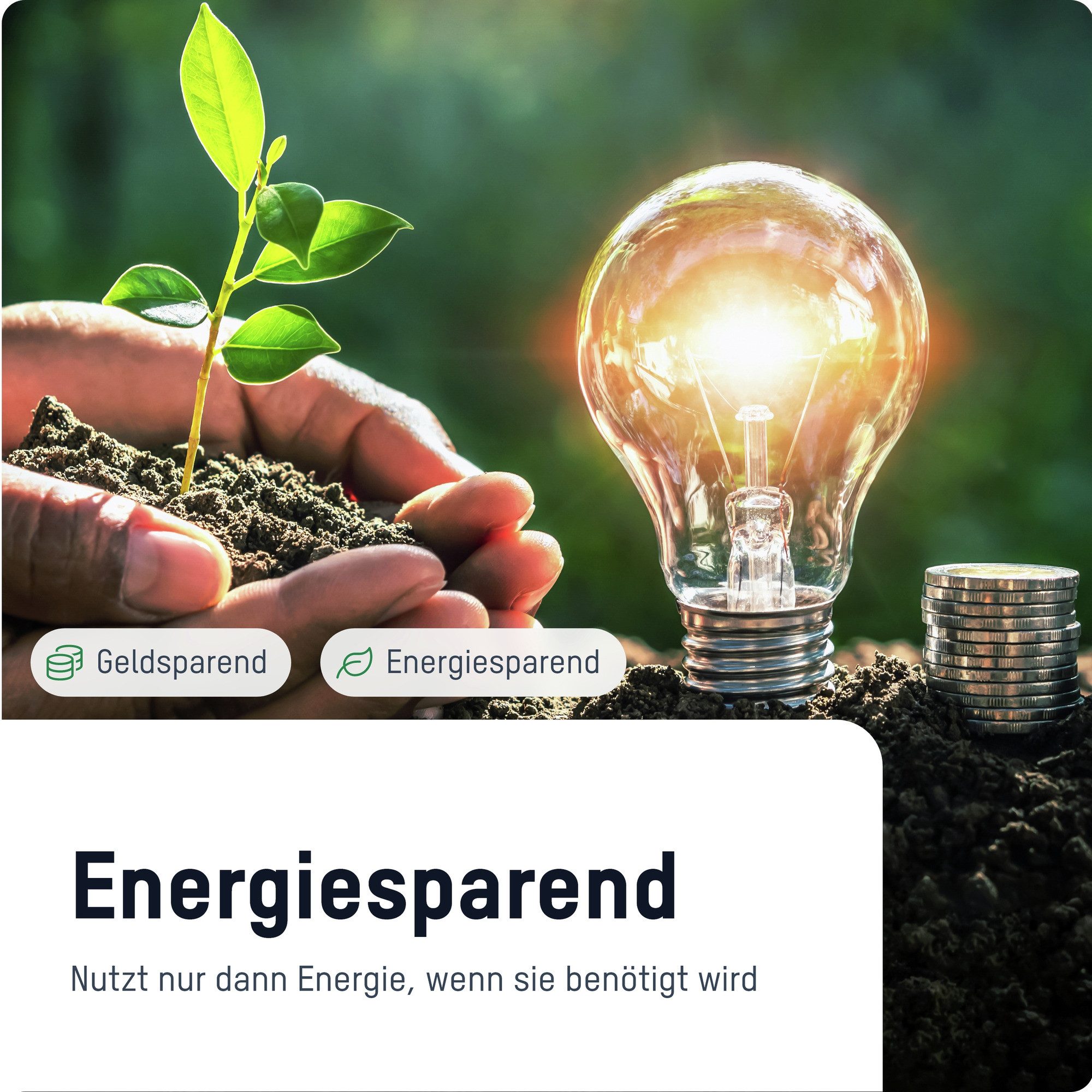 ANSMANN AG Funksteckdose 2x digitale Wochenzeitschaltuhr, LCD-Display 3680W, 10 Schaltzeiteiten
