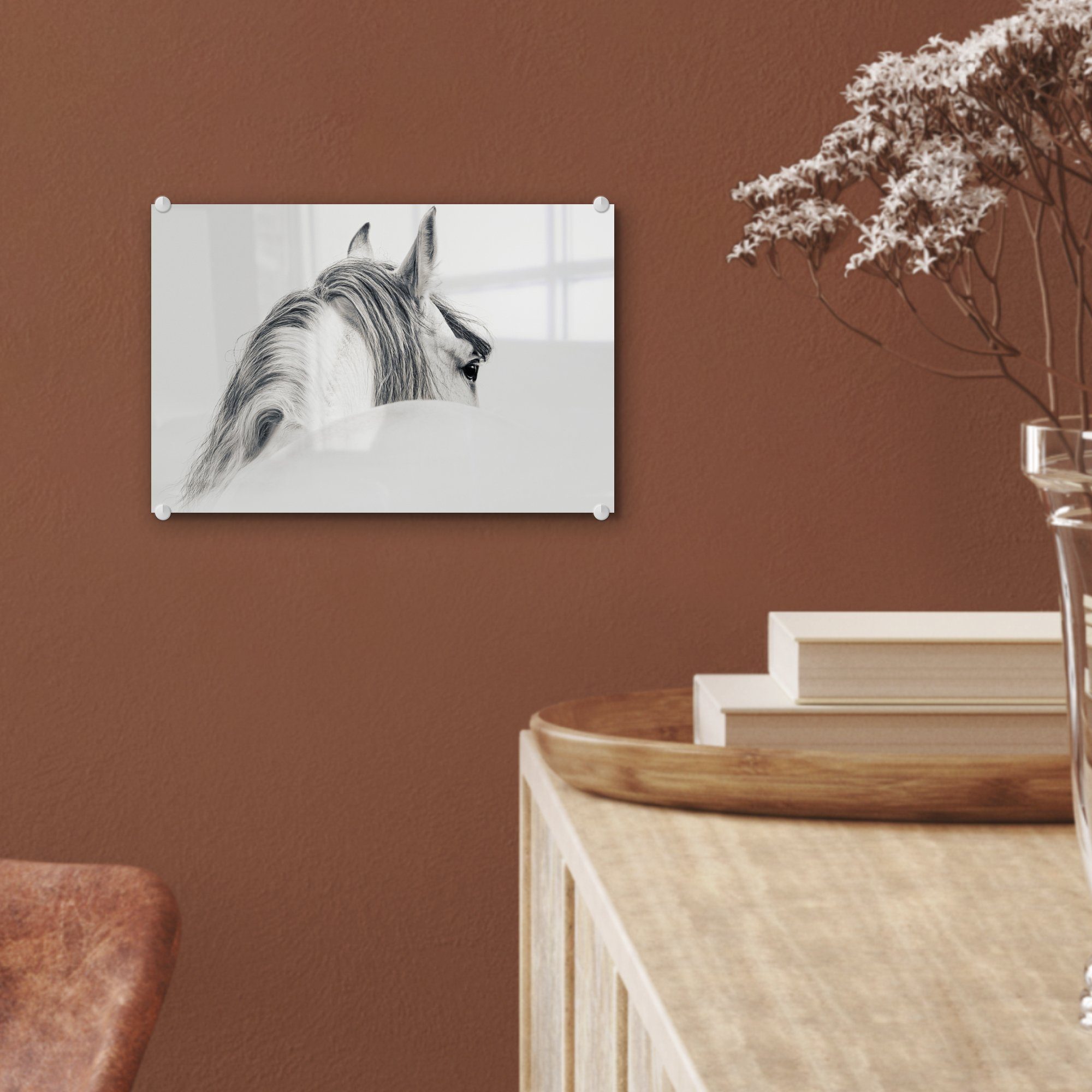 Acrylglasbild - Wanddekoration (1 - Glas Glas - Wandbild - auf - Pferd Tier, auf Weiß St), Glasbilder Bilder Foto MuchoWow