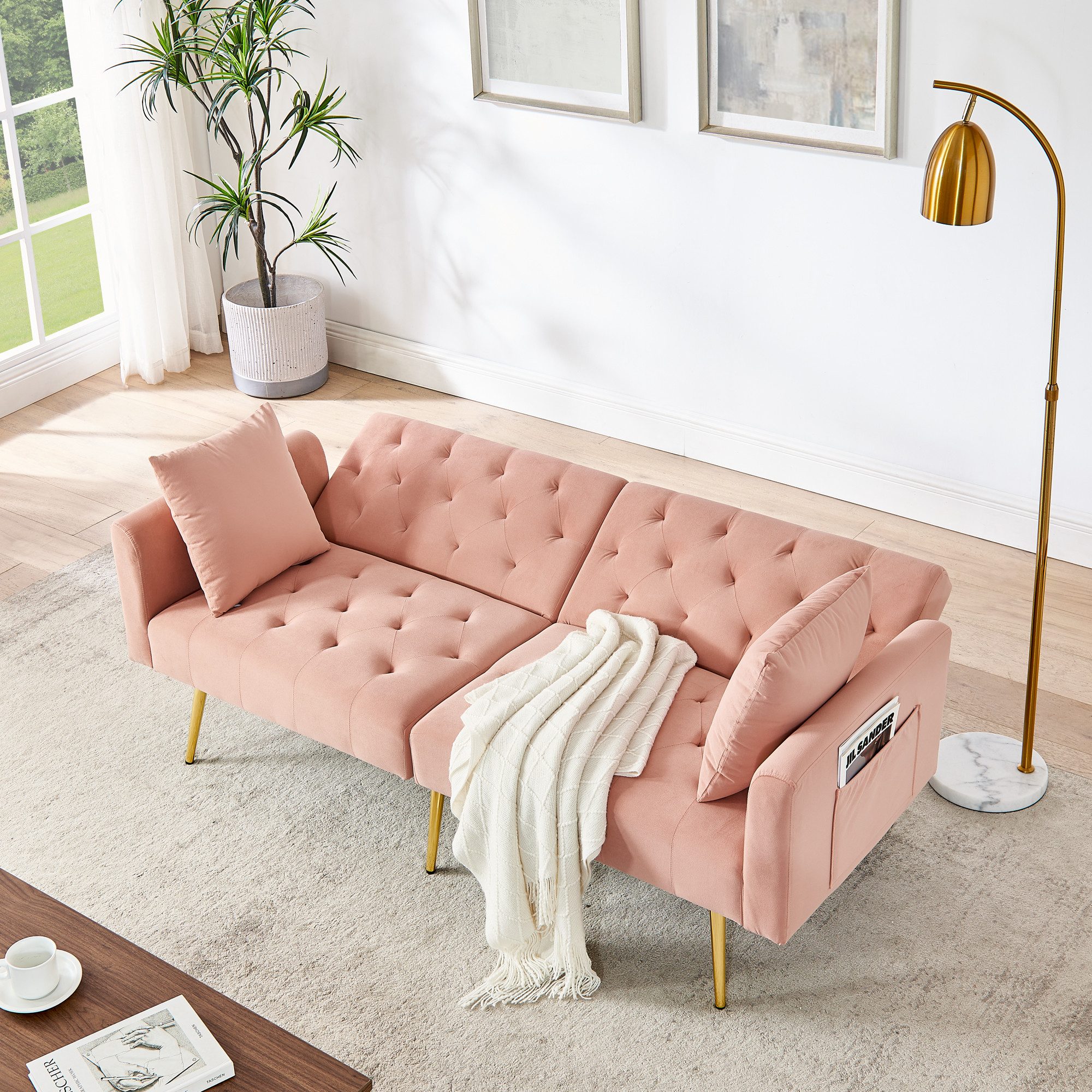 HAUSS SPOLE Schlafsofa verstellbar aus Sammet,Zweiersofa Loungesofa mit 2 Kissen&Metallbeine, Set, für Wohnzimmer,Mietwohnung,kleines Apartment