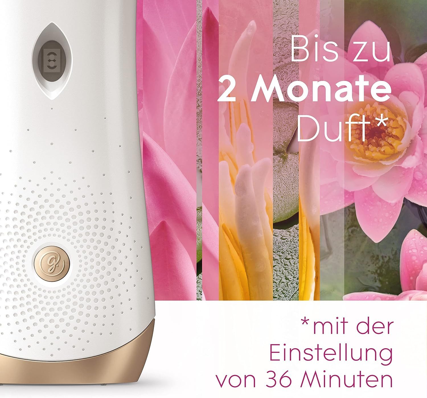 Glade Raumduft Automatic Spray Halter inkl. 1 Nachfüller, Relaxing Zen, 269 ml