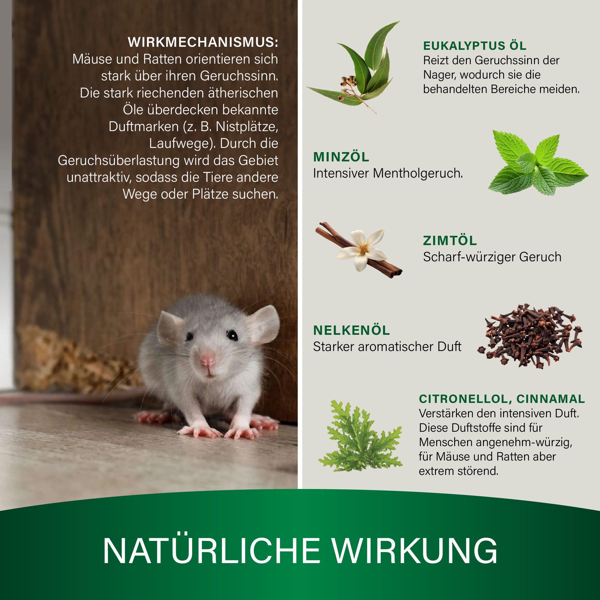 Veddelholzer Tierabwehrspray 250ml Mäuseabwehr Set mit Duftsäckchen natürliches Mäuseabwehrmittel, 250 ml, für Innen & Außen, Haus, Garten, Keller effektiv, hochwirksam Mäuse vertreiben ohne Gift und Chemie