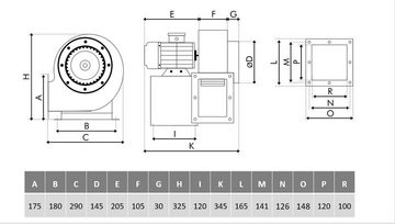 Uzman Radialventilator Industrie Radialventilator Abluftgebläse Lüfter Ventilator 230V
