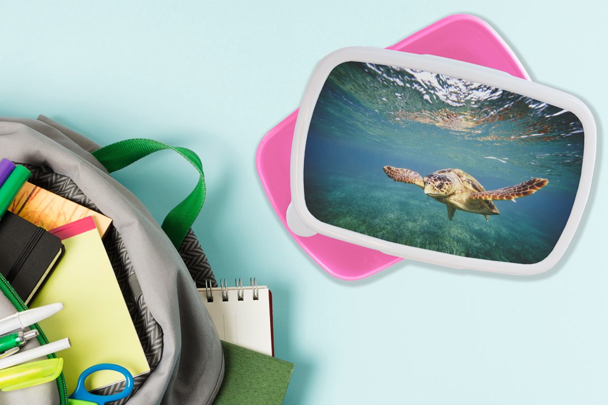 Schildkröte Wasser - Erwachsene, Snackbox, Mädchen, Kunststoff Kinder, Brotdose rosa Kunststoff, - Blau, Brotbox für Lunchbox MuchoWow (2-tlg),