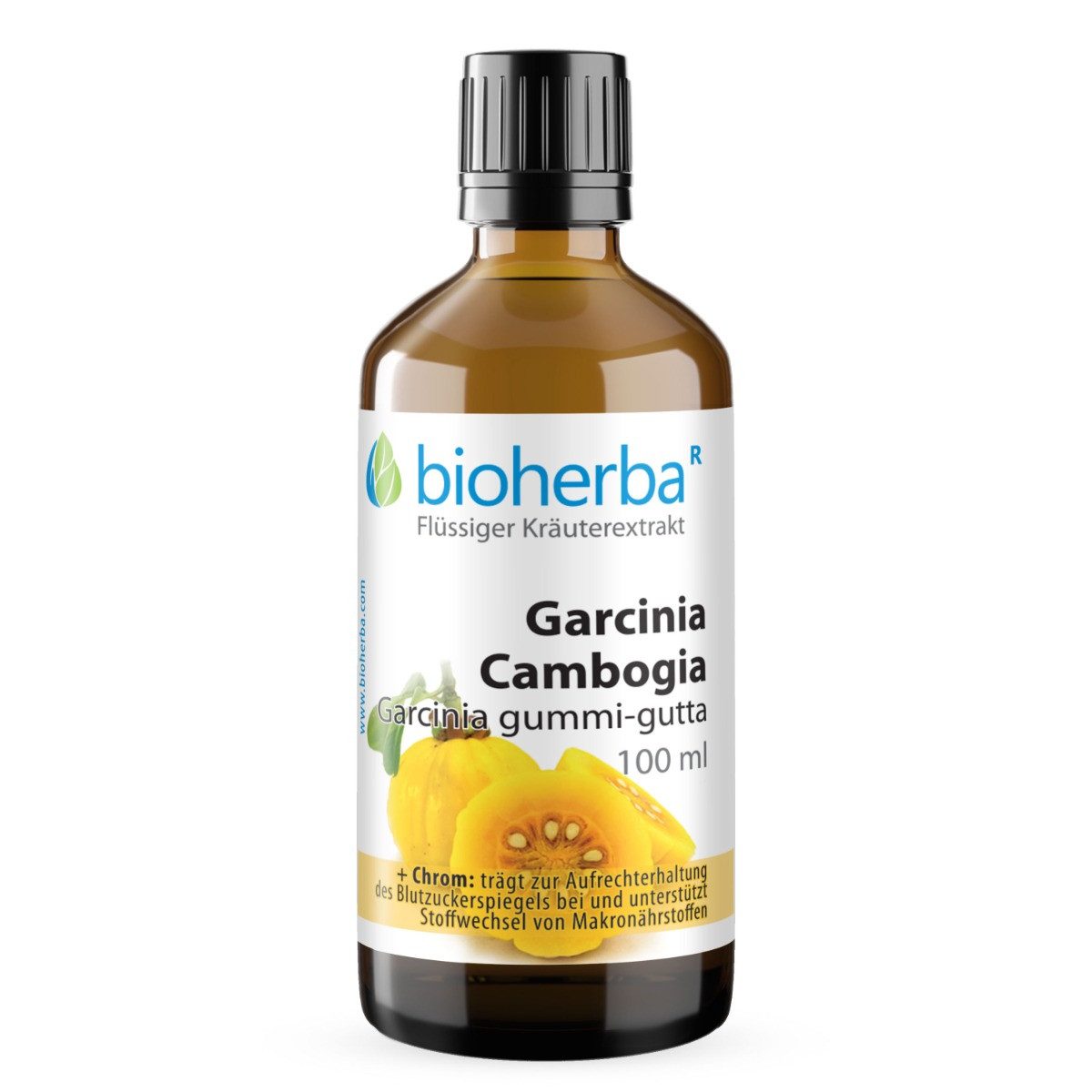 BIOHERBA R Bioherba Garcinia Cambogia Tropfen Tinktur 100 ml Tropfen, 1 er