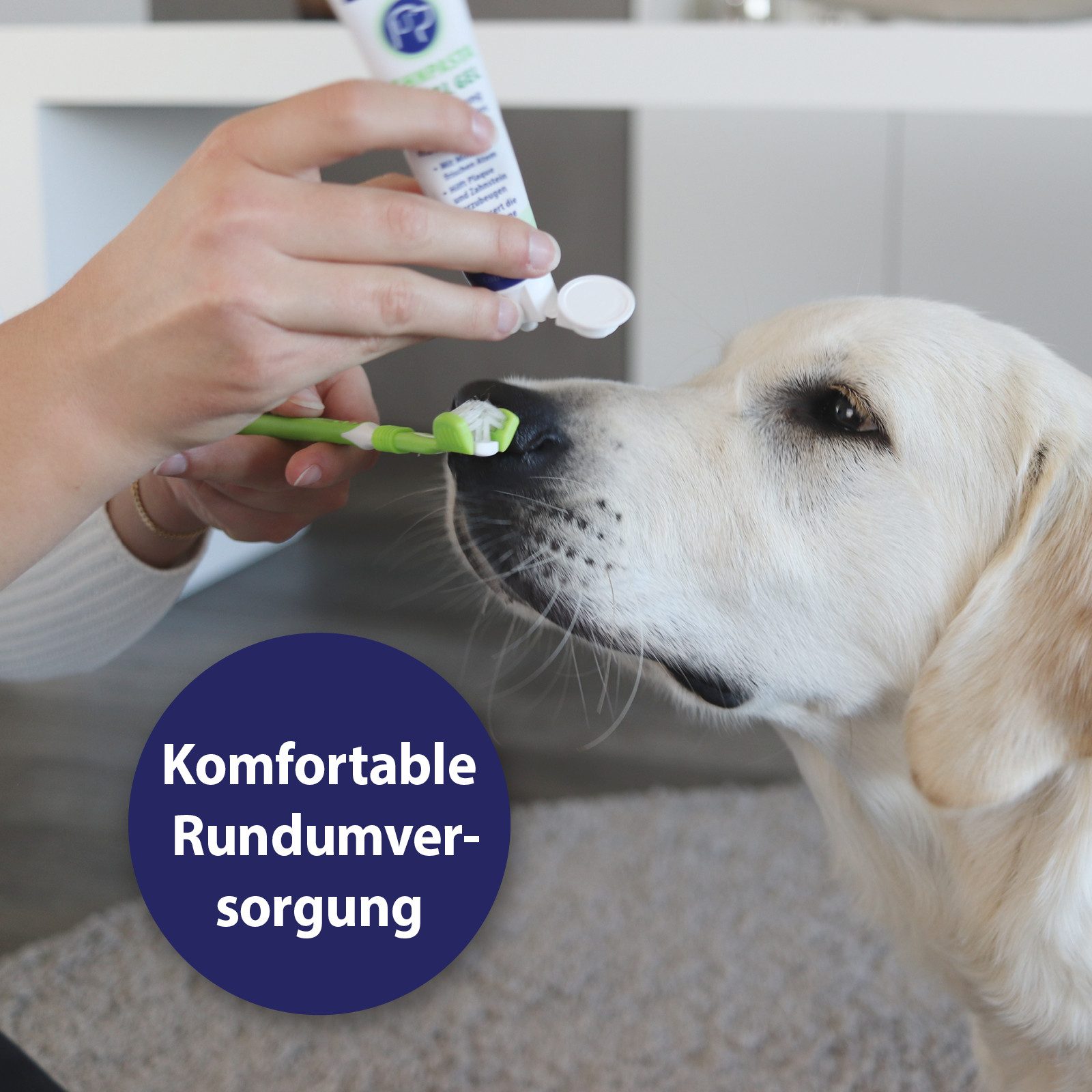 Canosept Fellpflege Canosept Zahnpflege-Set Hunde