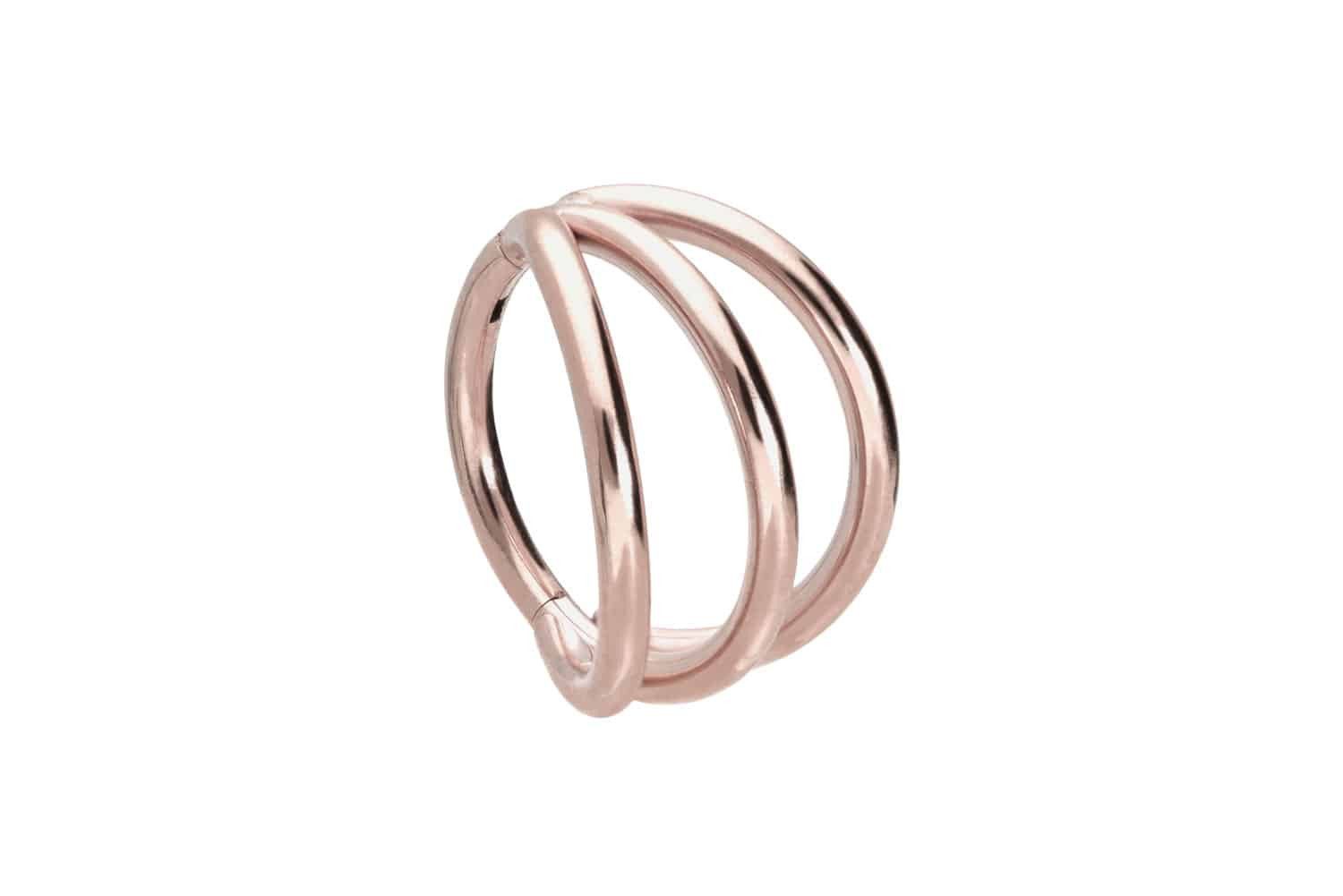 Piercing-Set Titan Segmentring Clicker 3 RINGE