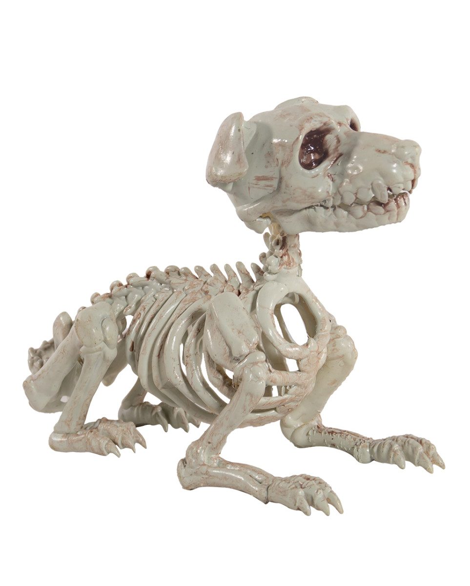 Horror-Shop Dekoobjekt Schnauzer Hundeskelett als Halloween Dekoration 27