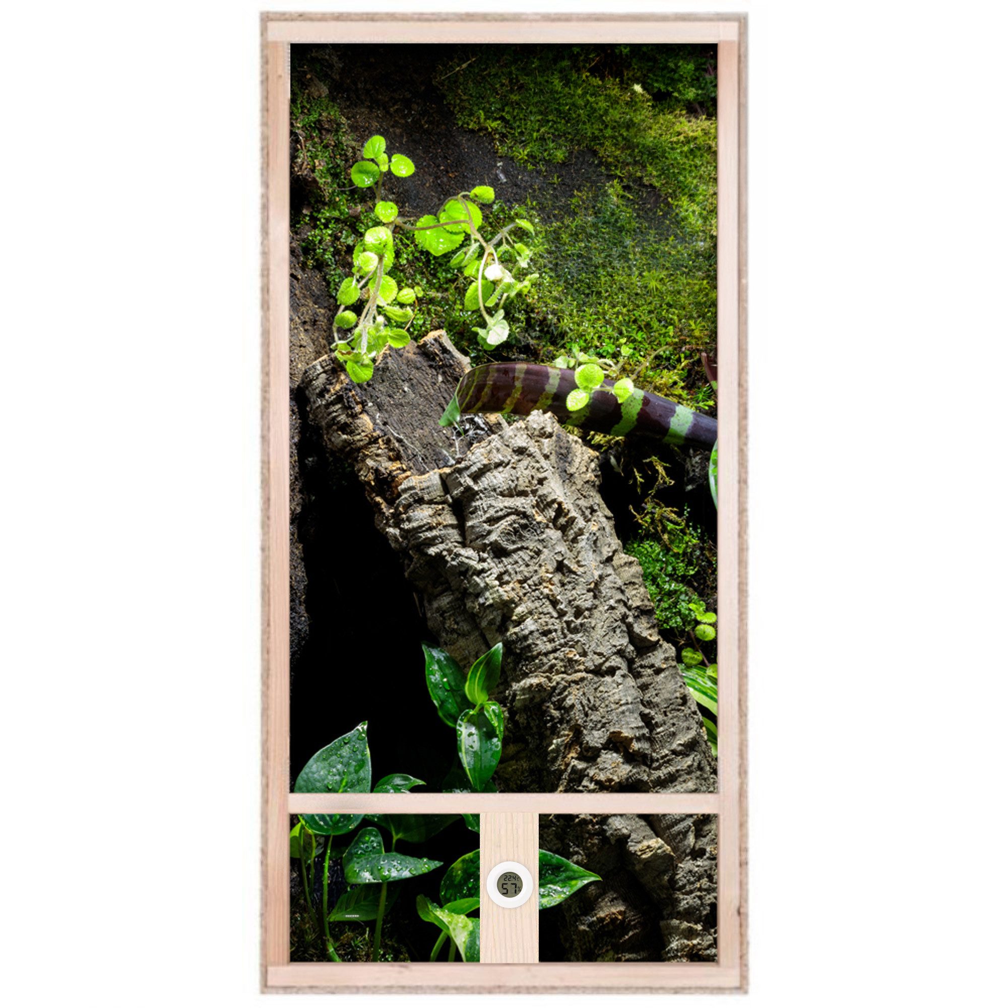 Repiterra Terrarium Hochterrarium für Chamäleon 60x120x60 cm, inklusive Thermo-Hygrometer - Hochwertiges Holzterrarium