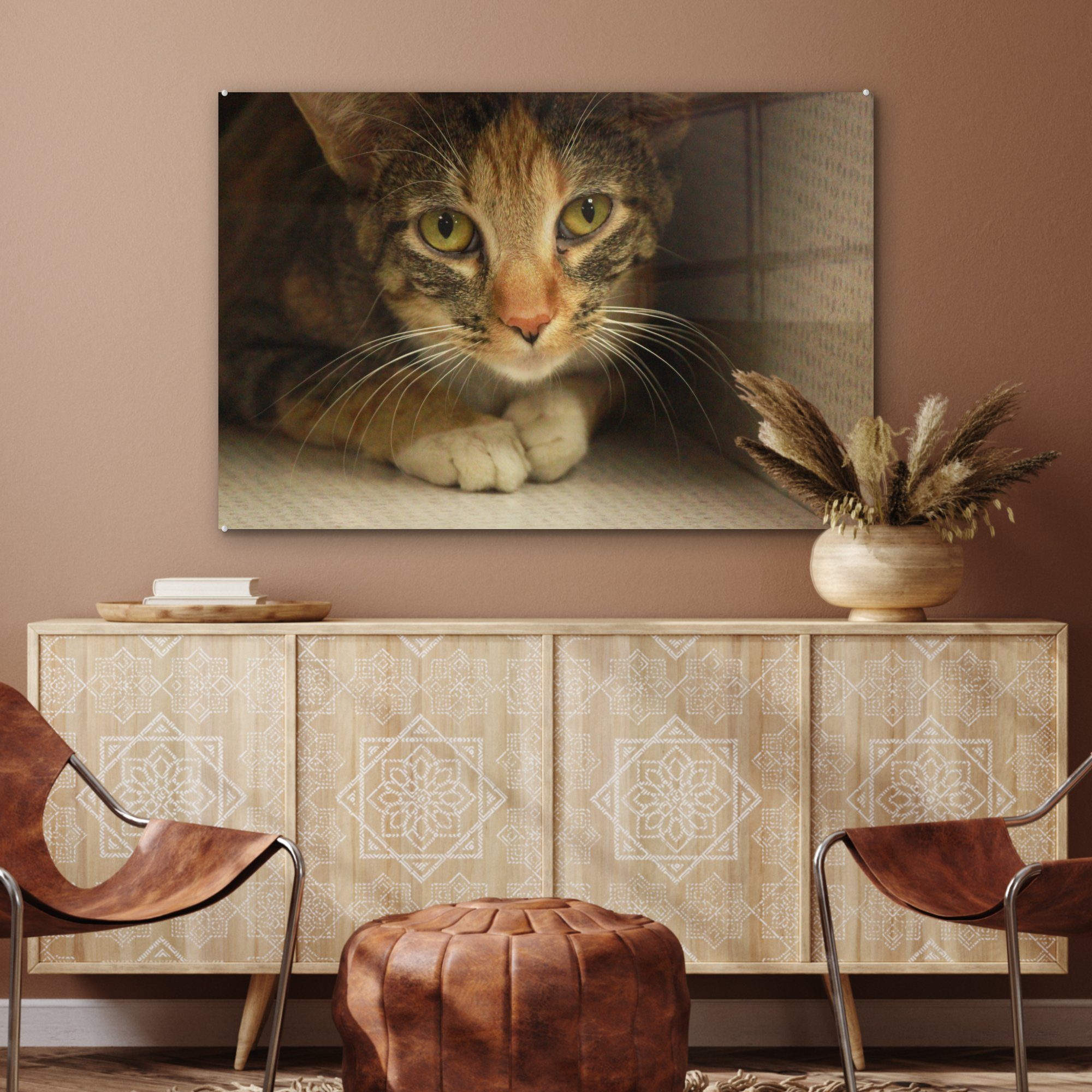 in sitzt Eine Karton, Schlafzimmer einem Wohnzimmer Acrylglasbild junge (1 & Acrylglasbilder MuchoWow Tigerkatze St),