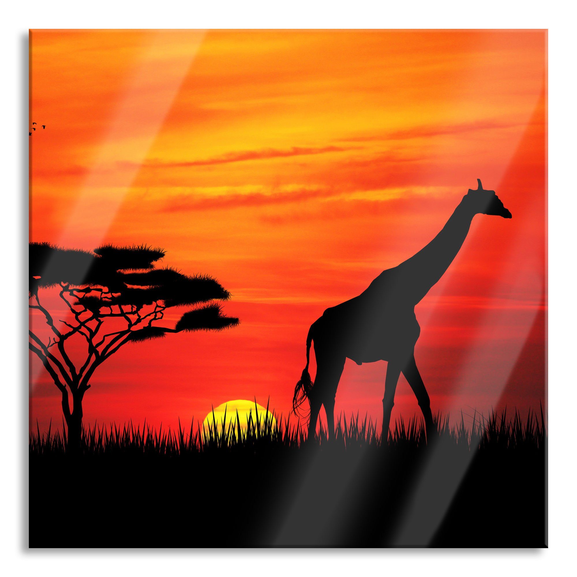 aus und Abstandshalter Giraffe St), Glasbild Giraffe Echtglas, im im inkl. Sonnenuntergang Glasbild Pixxprint (1 Aufhängungen Sonnenuntergang,