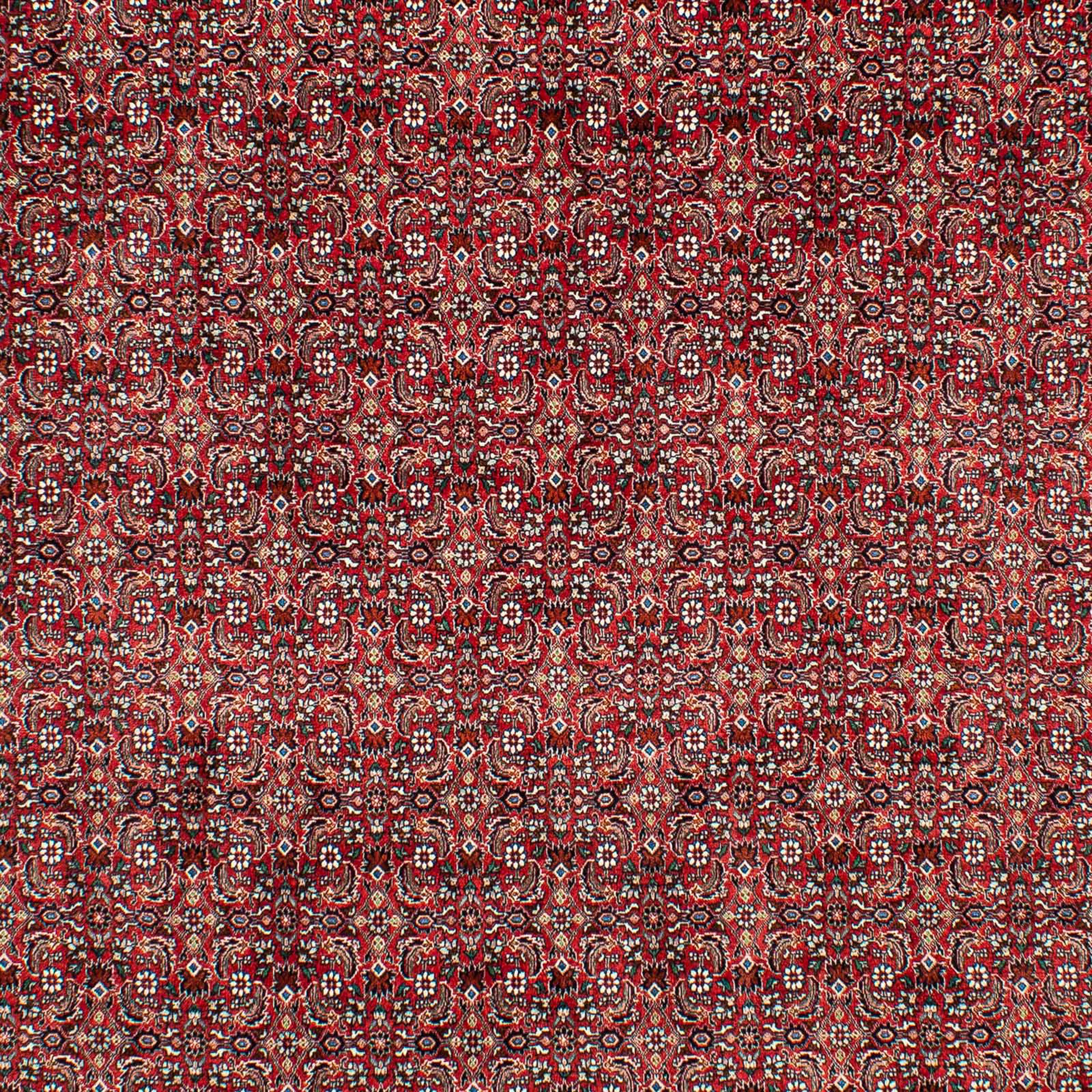Orientteppich Perser - Bidjar morgenland, cm rechteckig, - 15 Einzelstück mm, 309 Wohnzimmer, Zertifikat Höhe: dunkelrot, mit 209 Handgeknüpft, - x