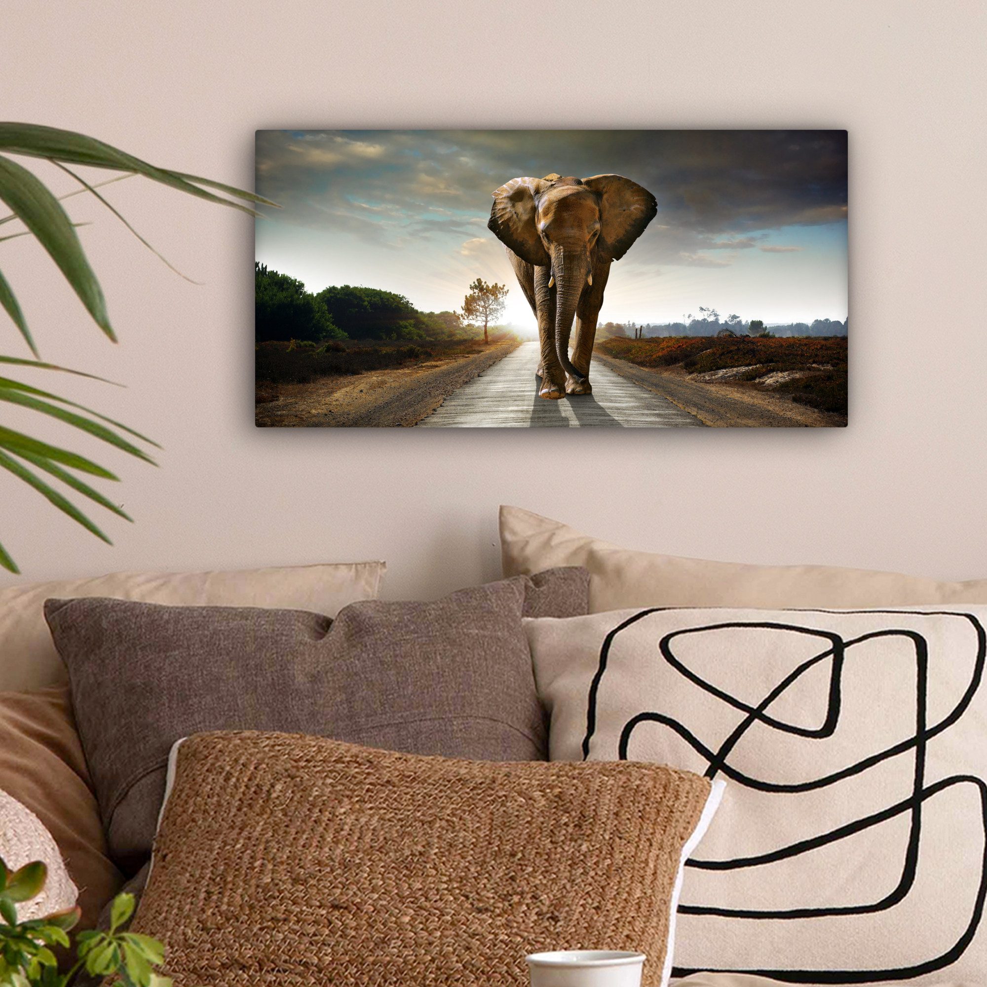 OneMillionCanvasses® Leinwandbild Panorama Elefant - Straße - Tiere - Sonne günstig online kaufen