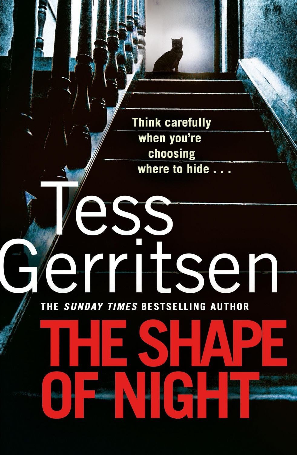 The Shape of Night / Tess Gerritsen